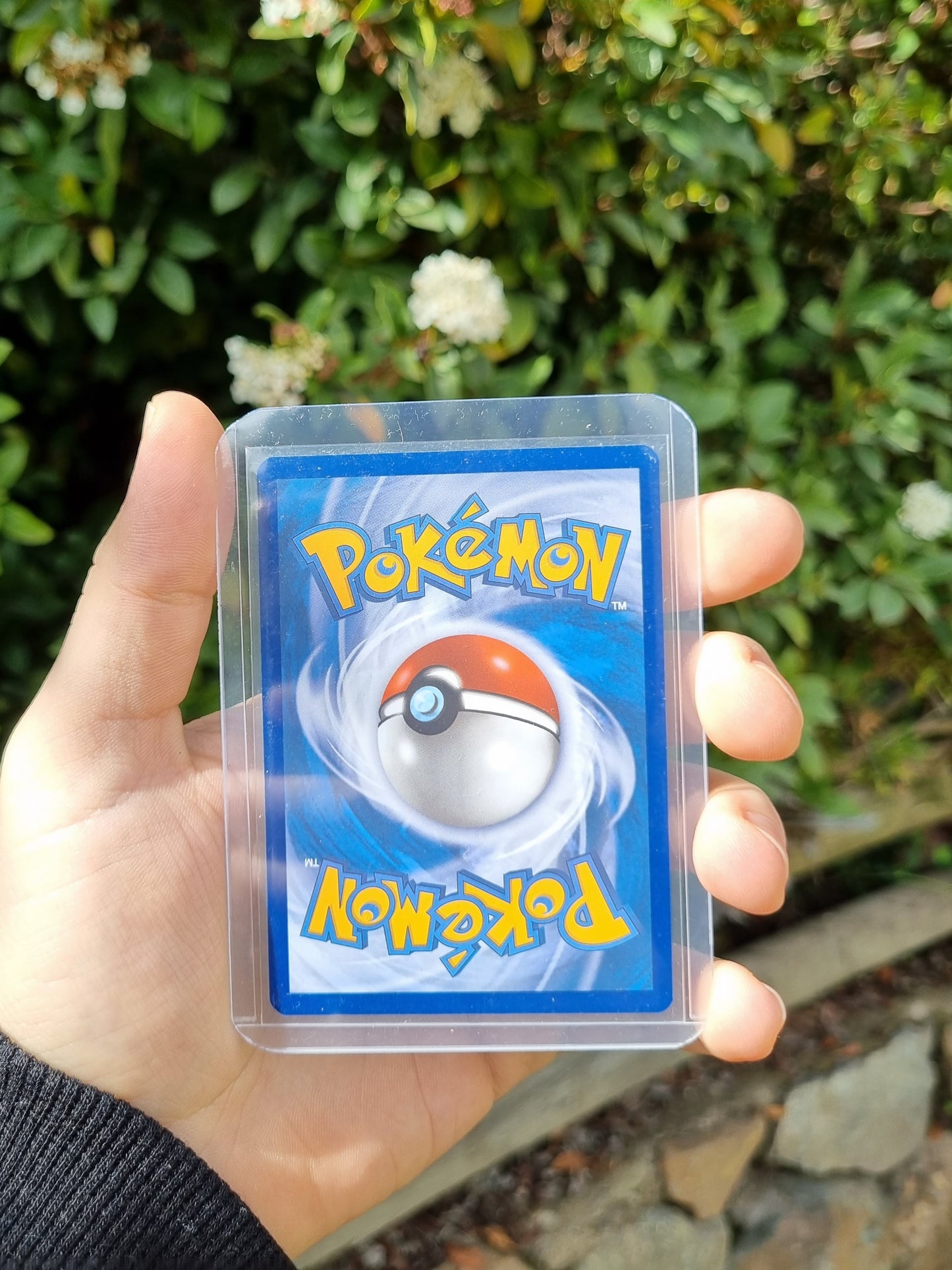 N's Reshiram - 167/159 Journey Together Illustration Rare