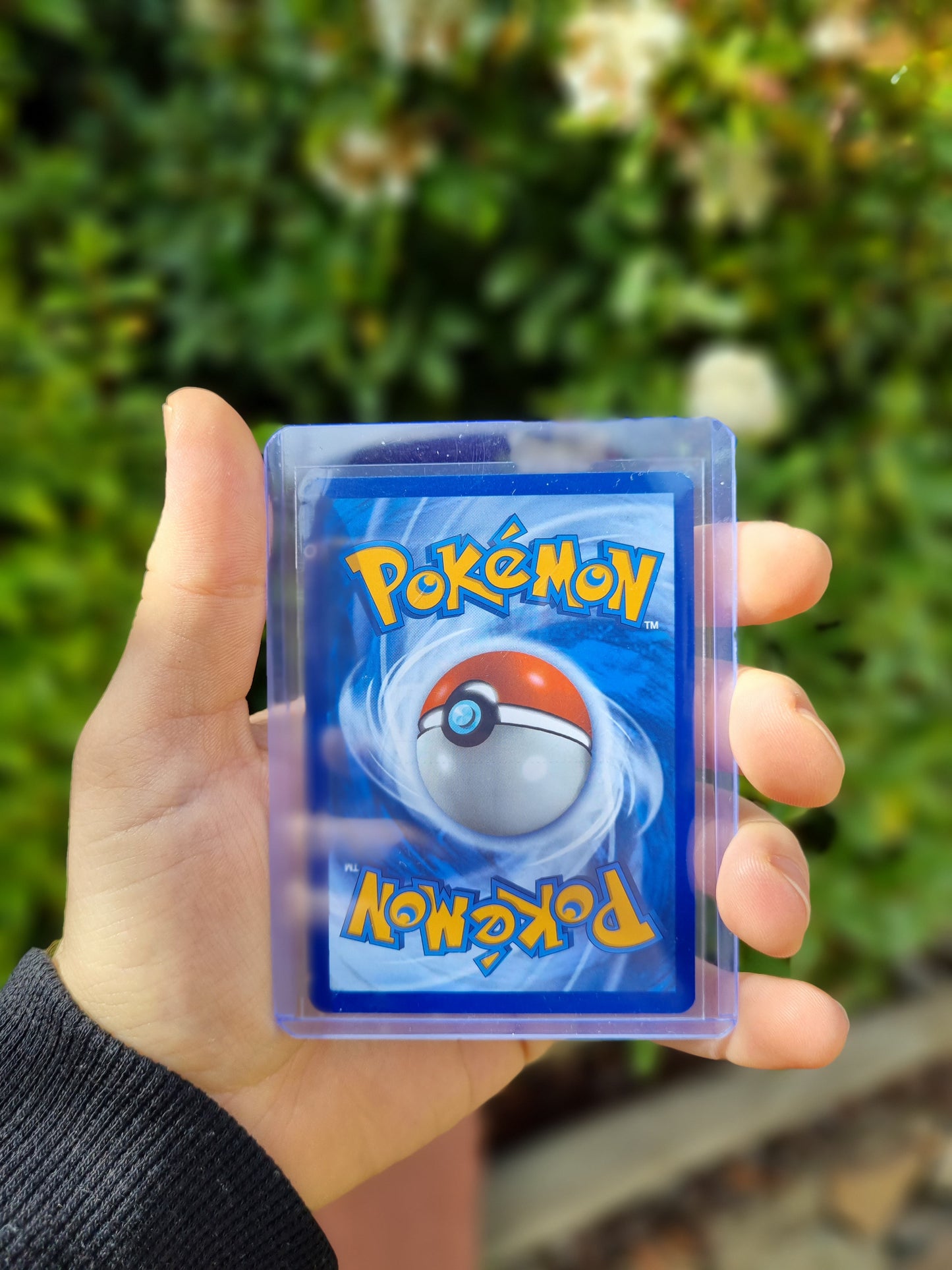 Misty's Lapras - 194/182 Destined Rivals Illustration Rare