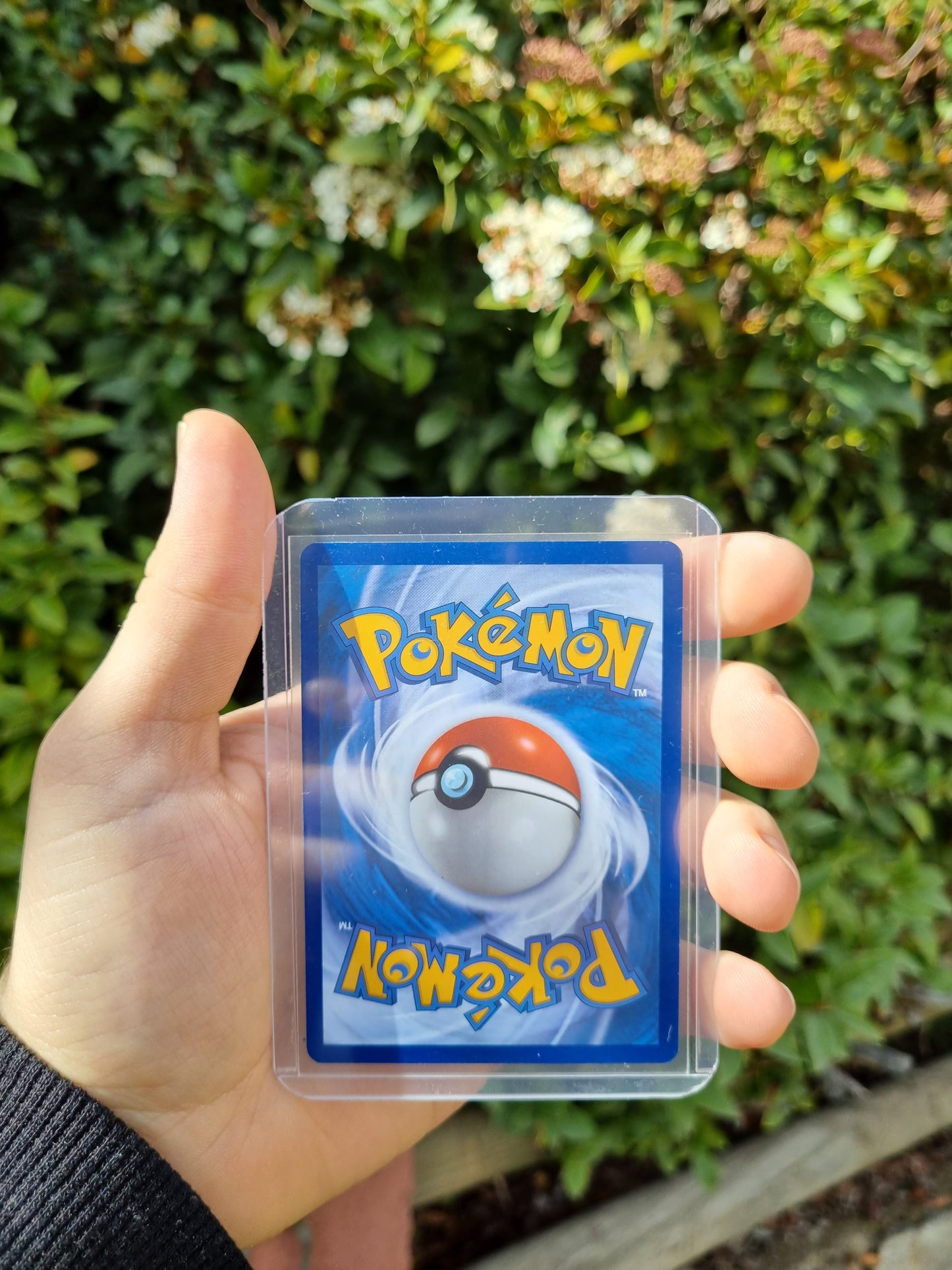 Poliwhirl - 176/165 Scarlet & Violet 151 Illustration Rare