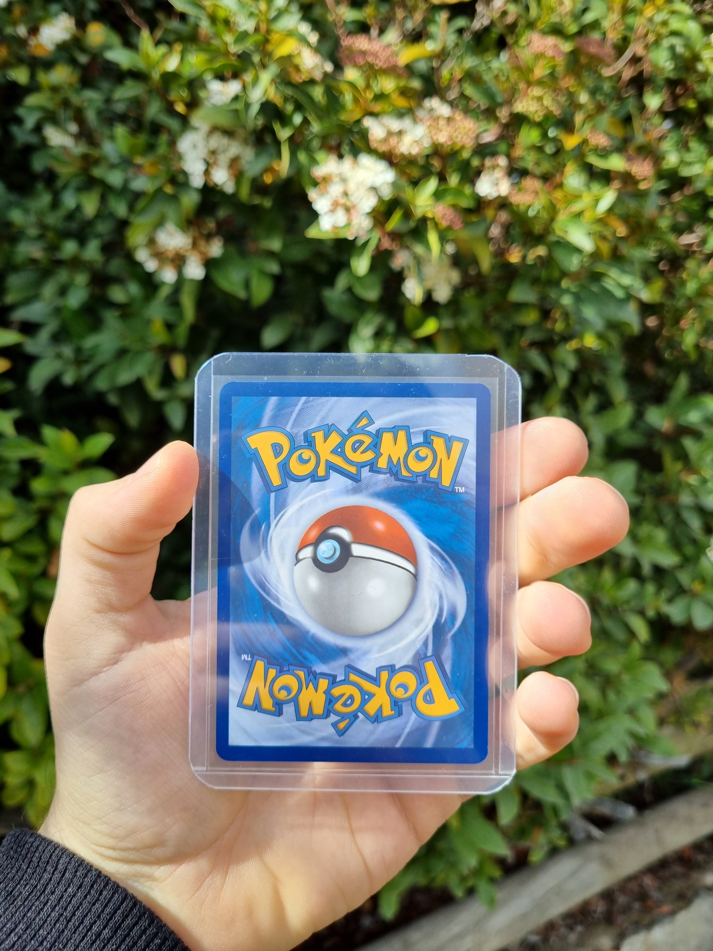Mew ex - 216/091 Paldean Fates Shiny Ultra Rare