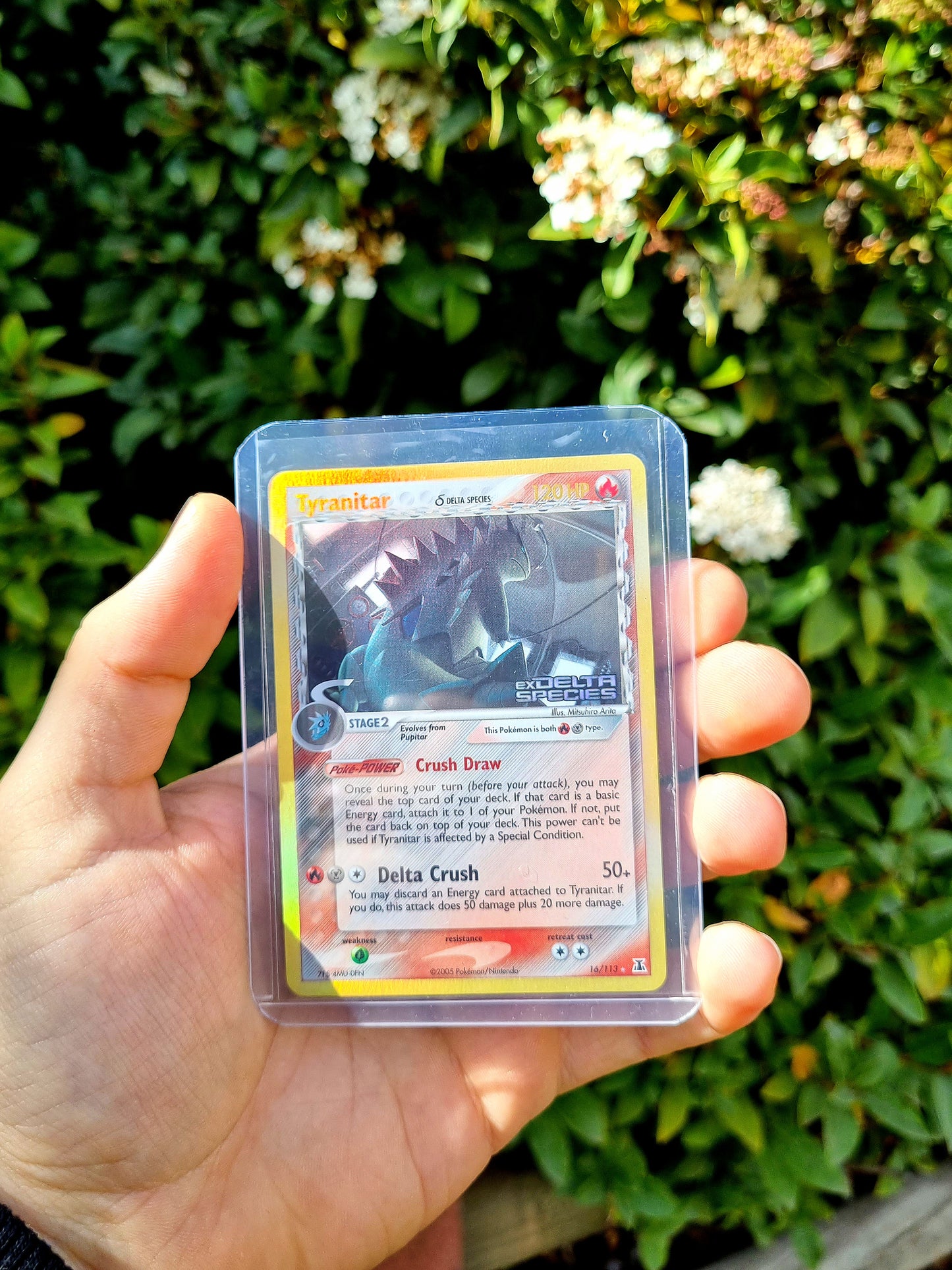 Tyranitar - Delta Species 16/113 Reverse Holo (Delta Species Stamp)