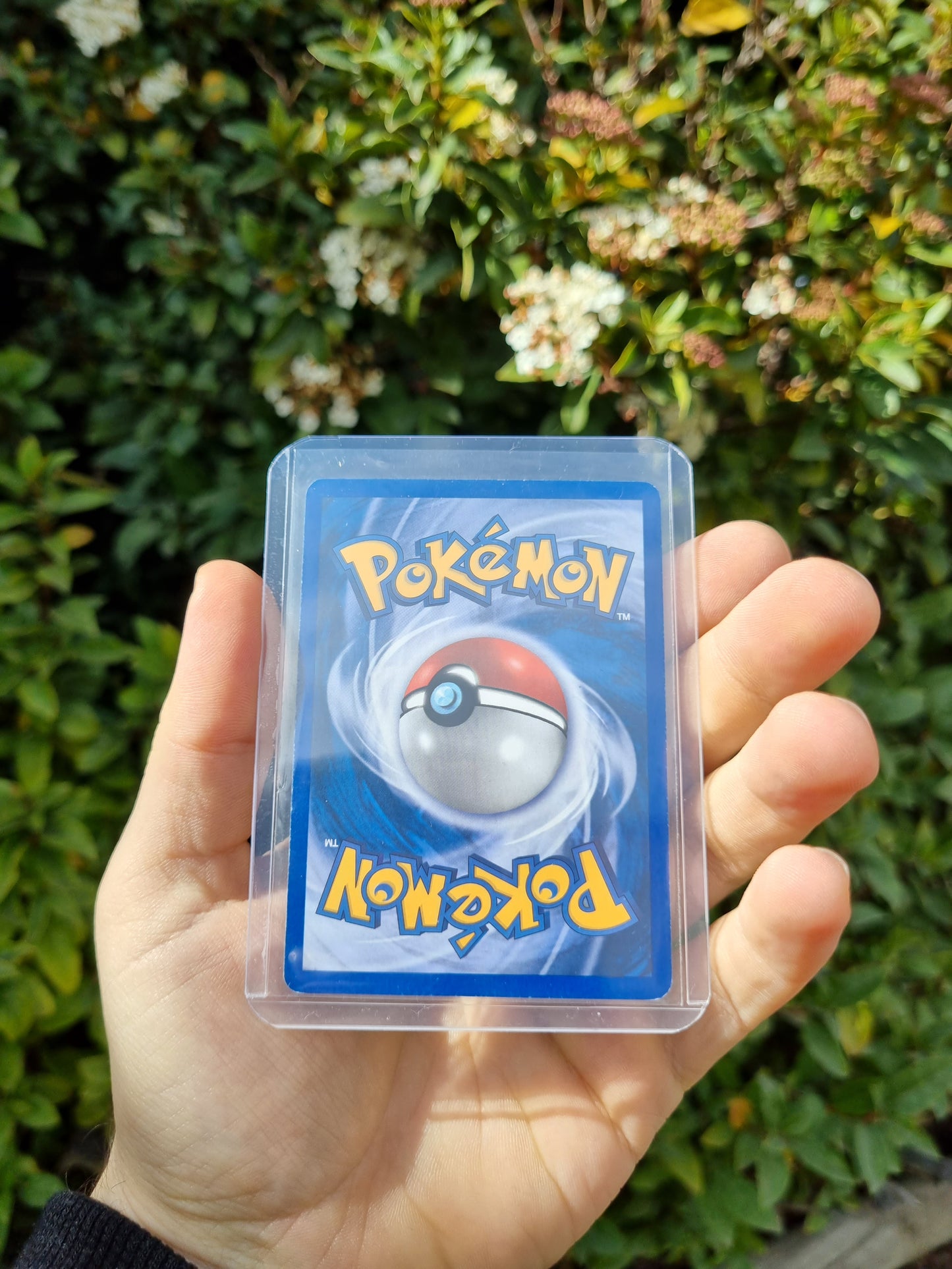 Tyranitar - Delta Species 16/113 Reverse Holo (Delta Species Stamp)