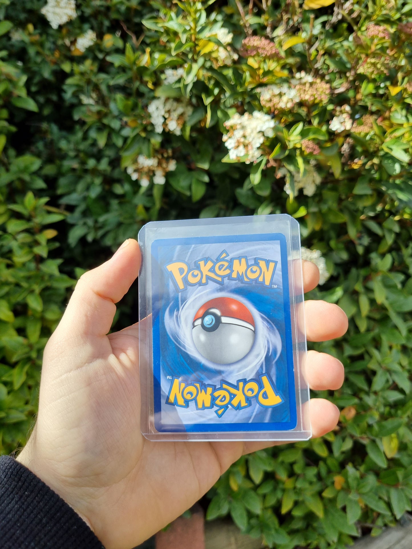 Typhlosion - Unseen Forces 17/115 Holo Rare