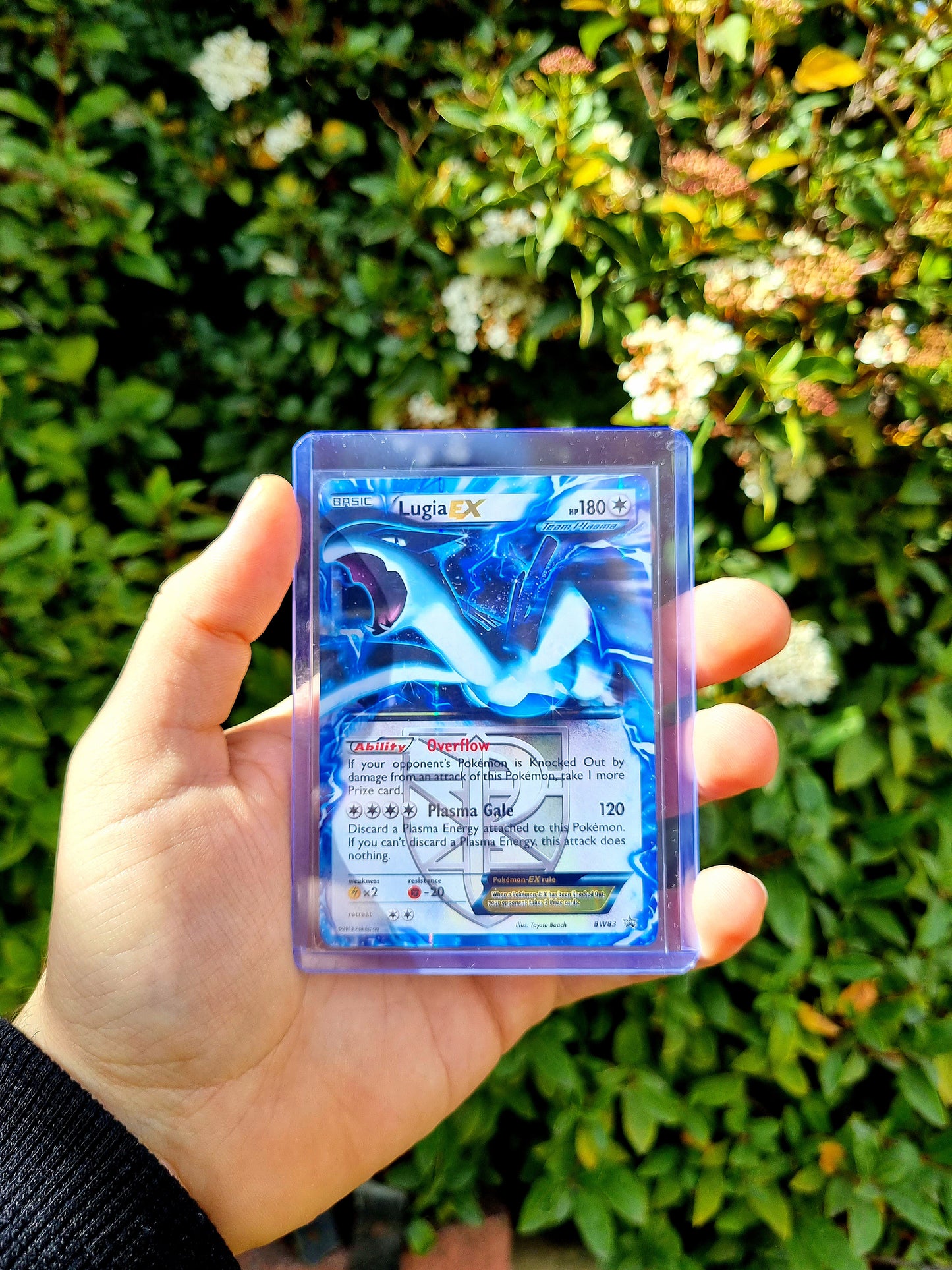 Lugia EX (Team Plasma) - Black and White Promos - BW83