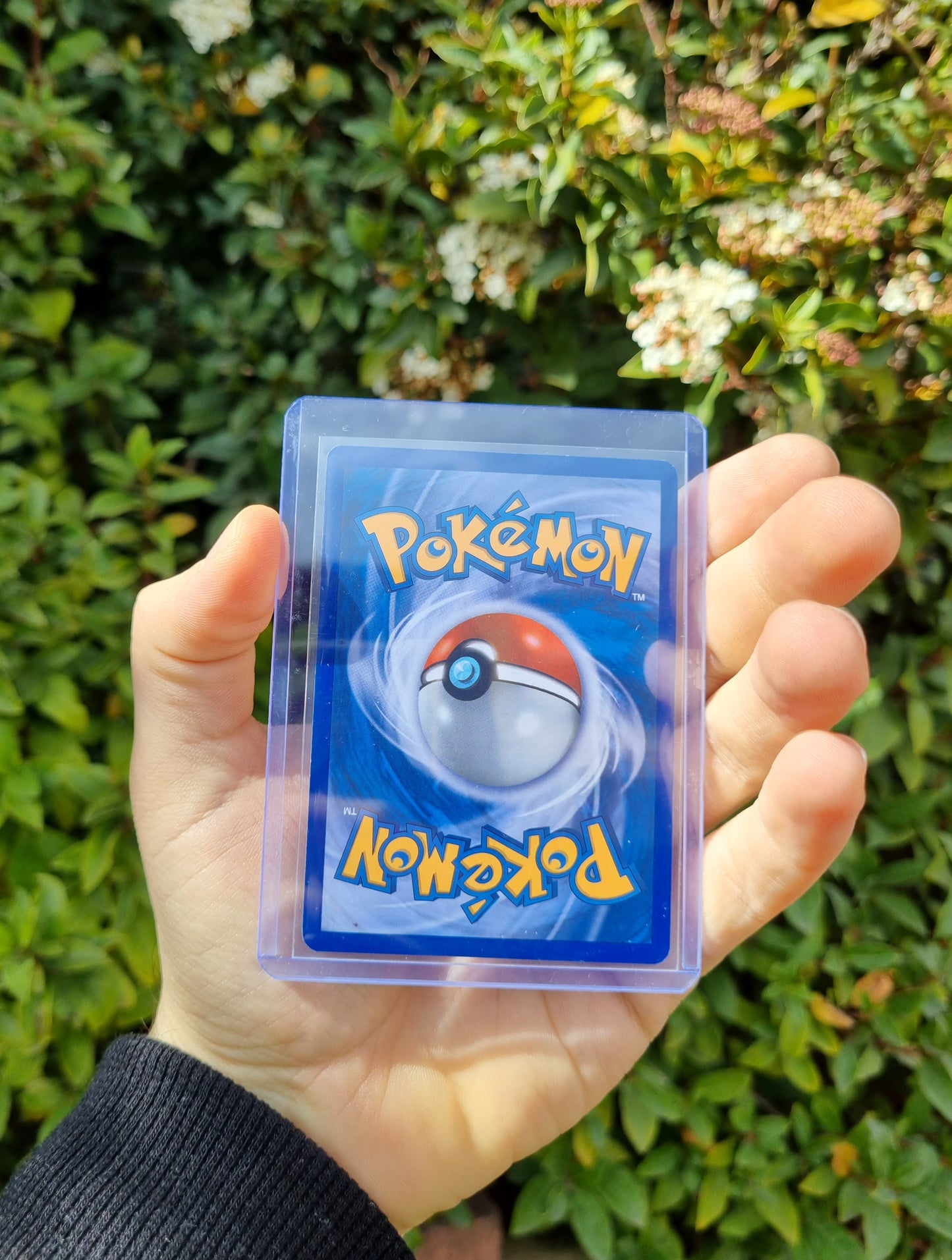 Lugia EX (Team Plasma) - Black and White Promos - BW83