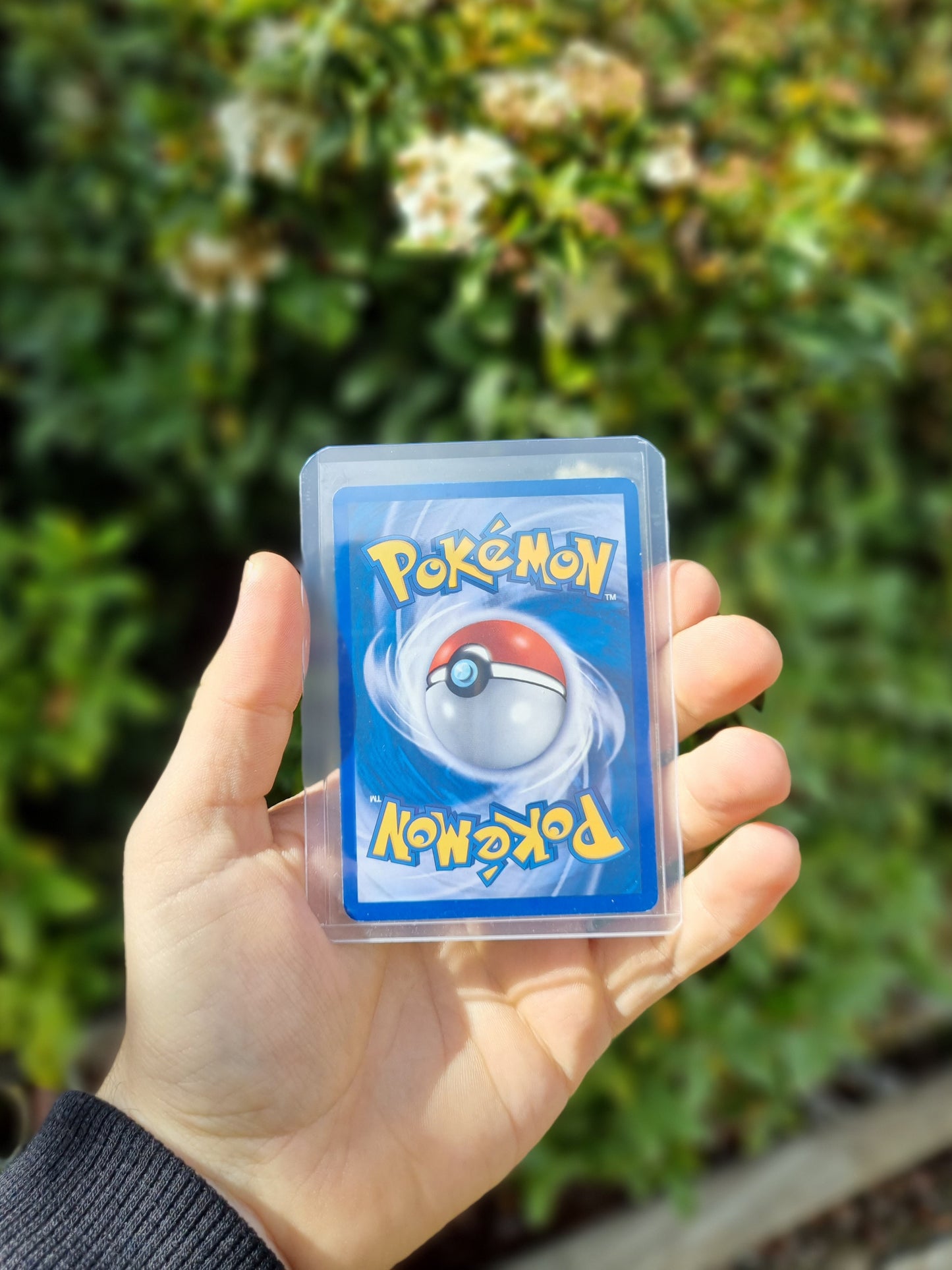 Celebi - 029 - Nintendo Promos