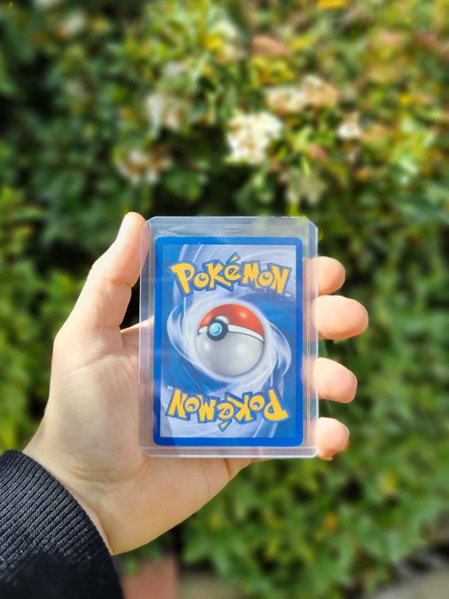 Suicune - 030 - Nintendo Promos