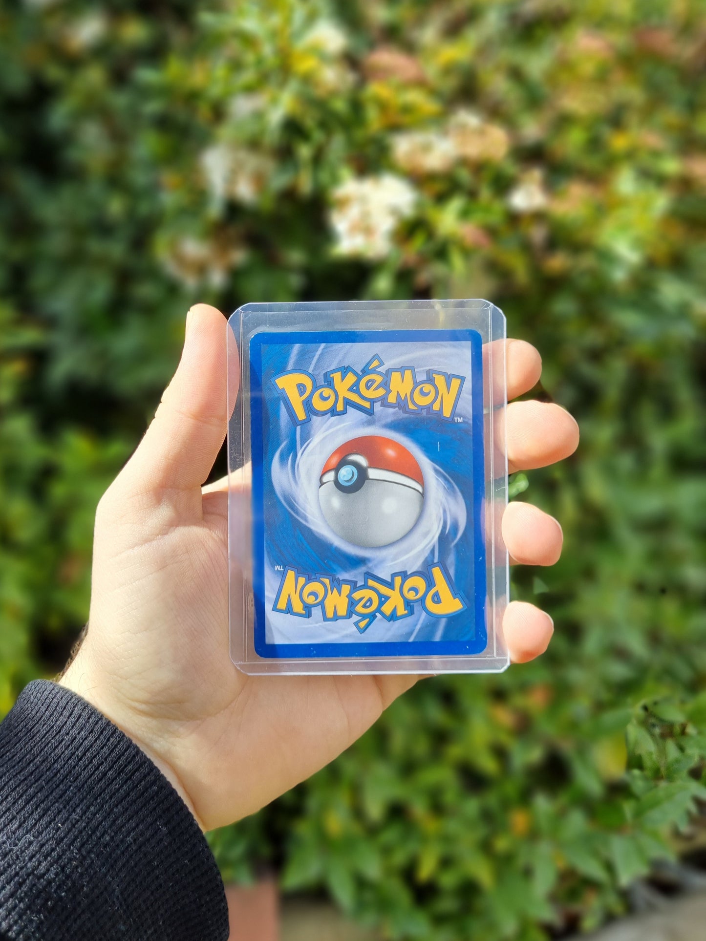 Omanyte - Legend Maker 60/92 Reverse