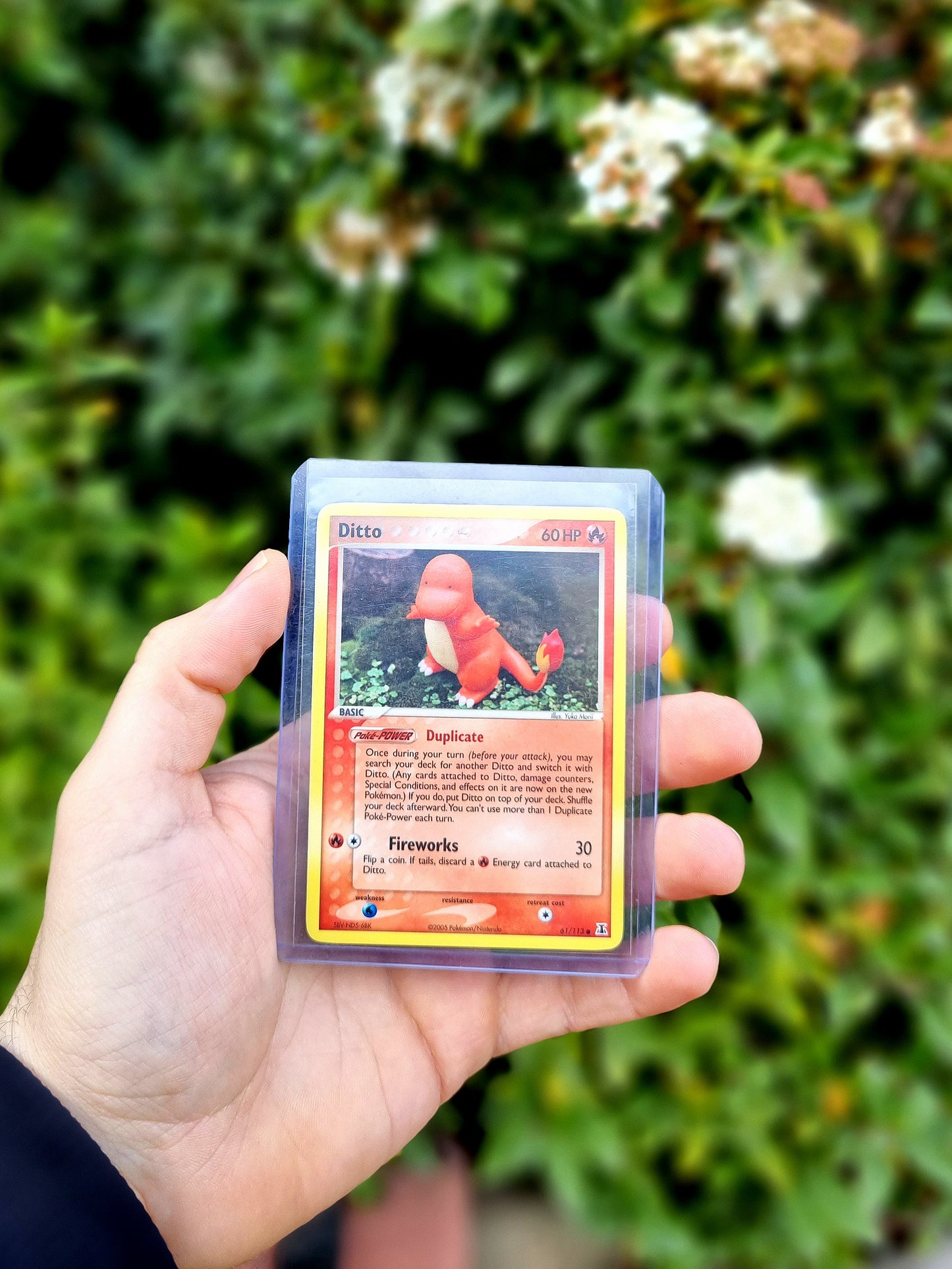 Ditto - 61/113 (Charmander) - Delta Species