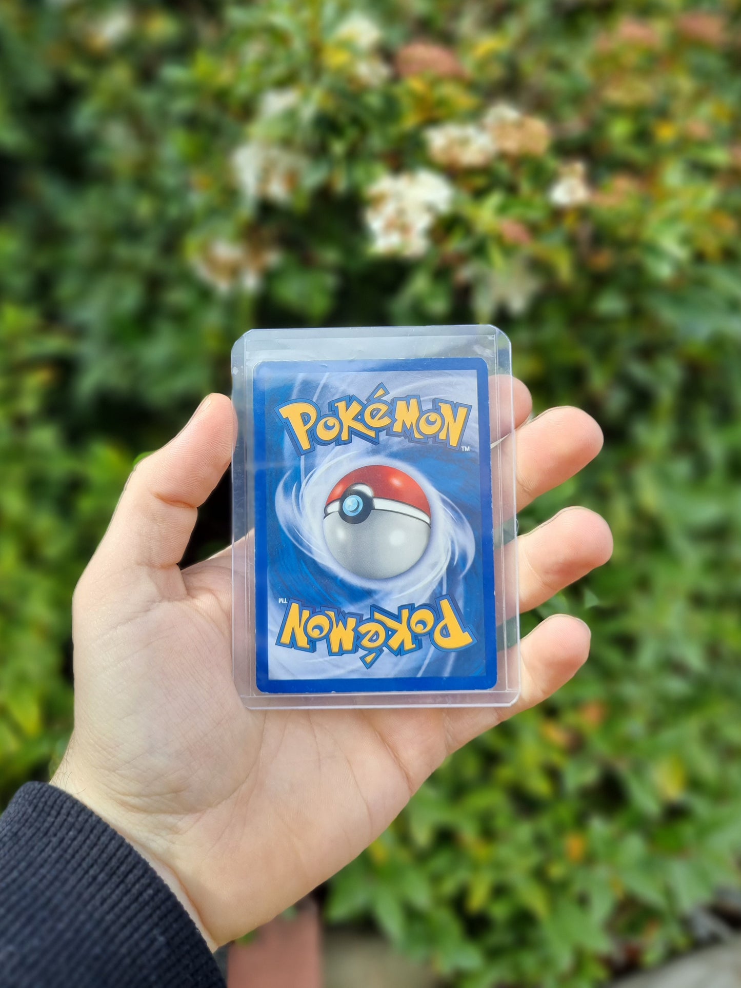 Mew (47/53) - Black Star Promo