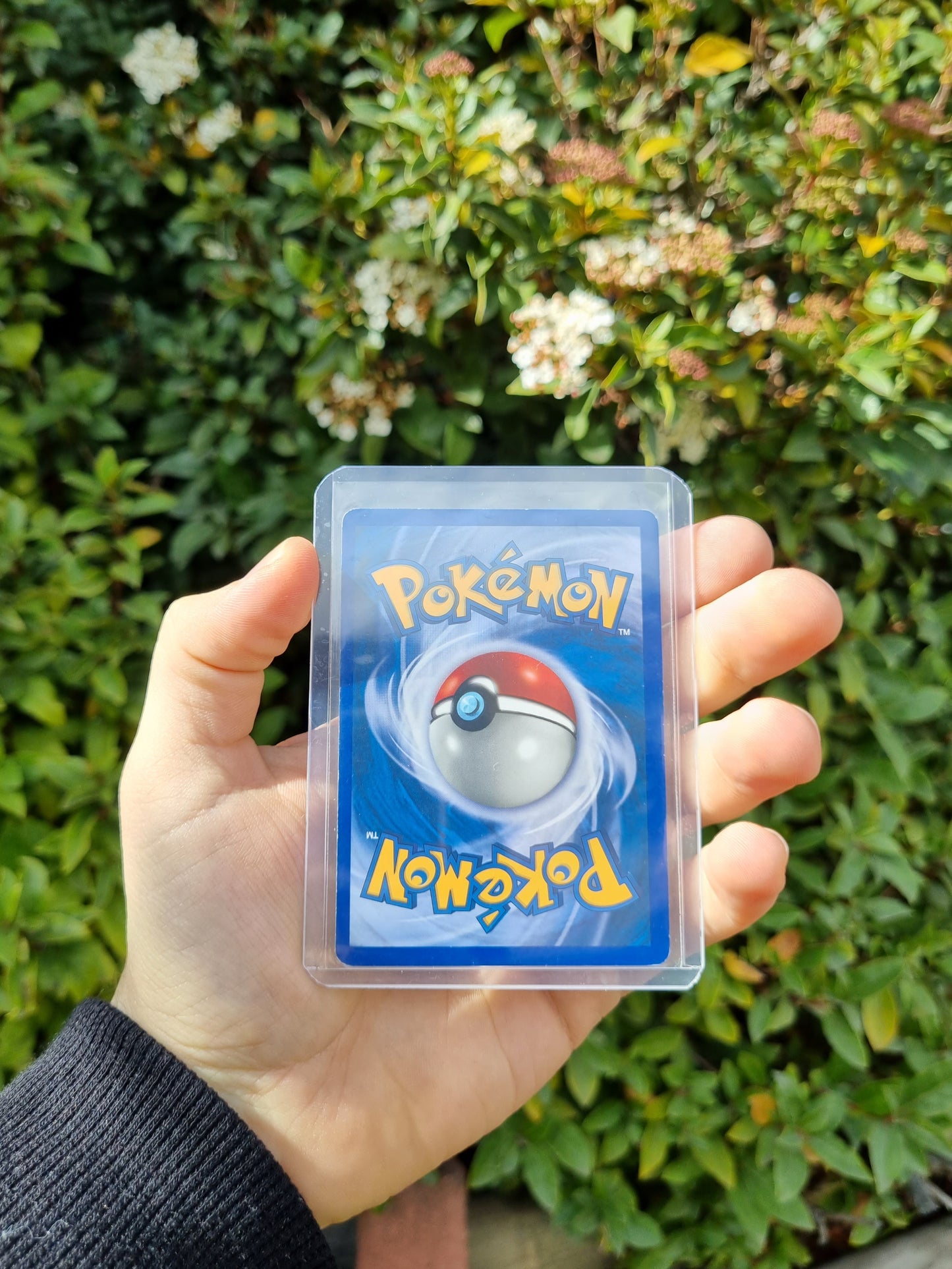 Articuno (48/53) - Black Star Promo