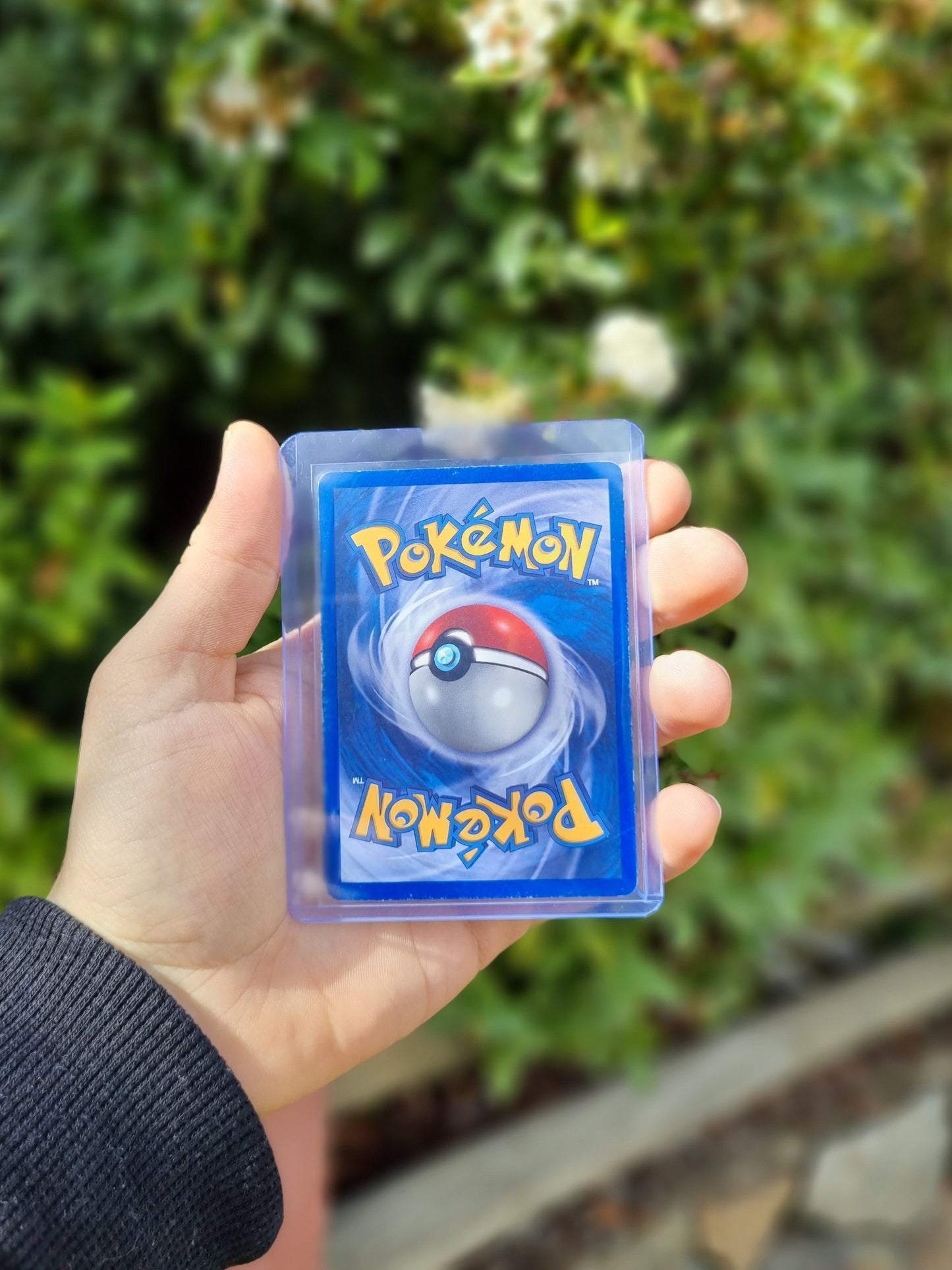 Togepi - (30/53) Black Star Promo