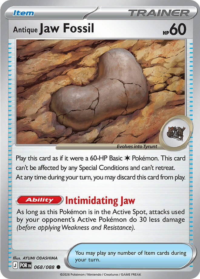 Antique Jaw Fossil - 068/088 Perfect Order
