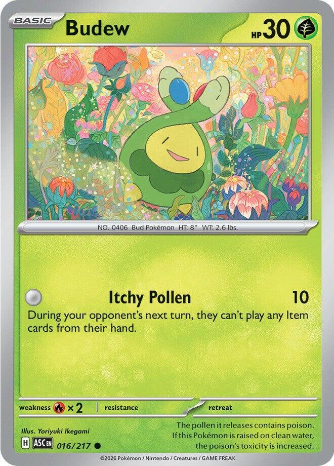 Budew - 016/217 Ascended Heroes
