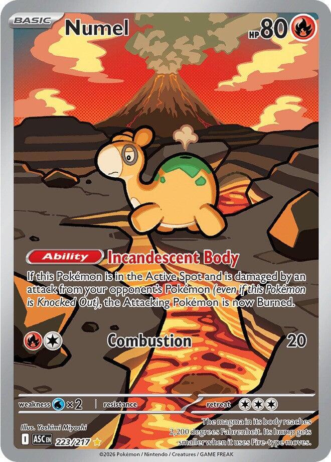 Numel - 223/217 Ascended Heroes Illustration Rare