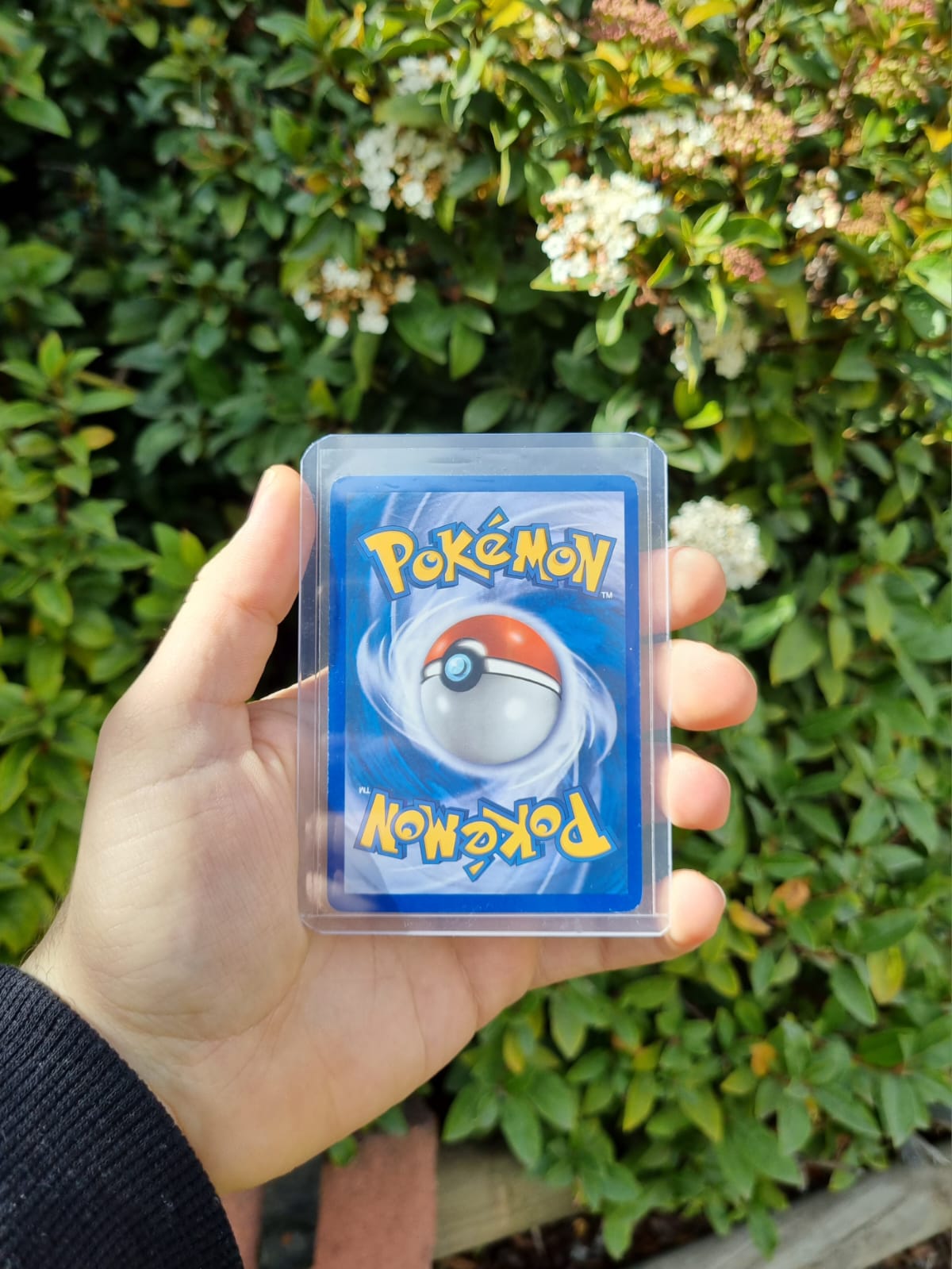 Azumarill - Delta Species 114/113 Secret Rare