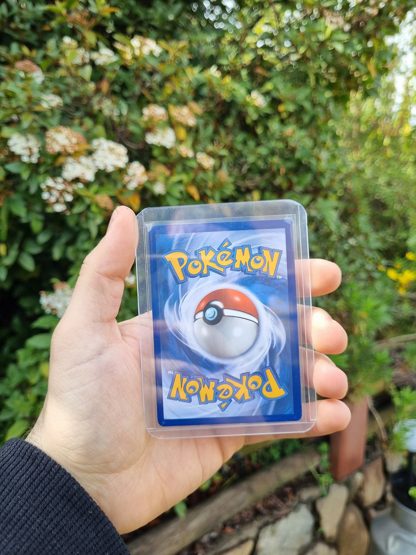 Iono - 254/193 Paldea Evolved Ultra Rare