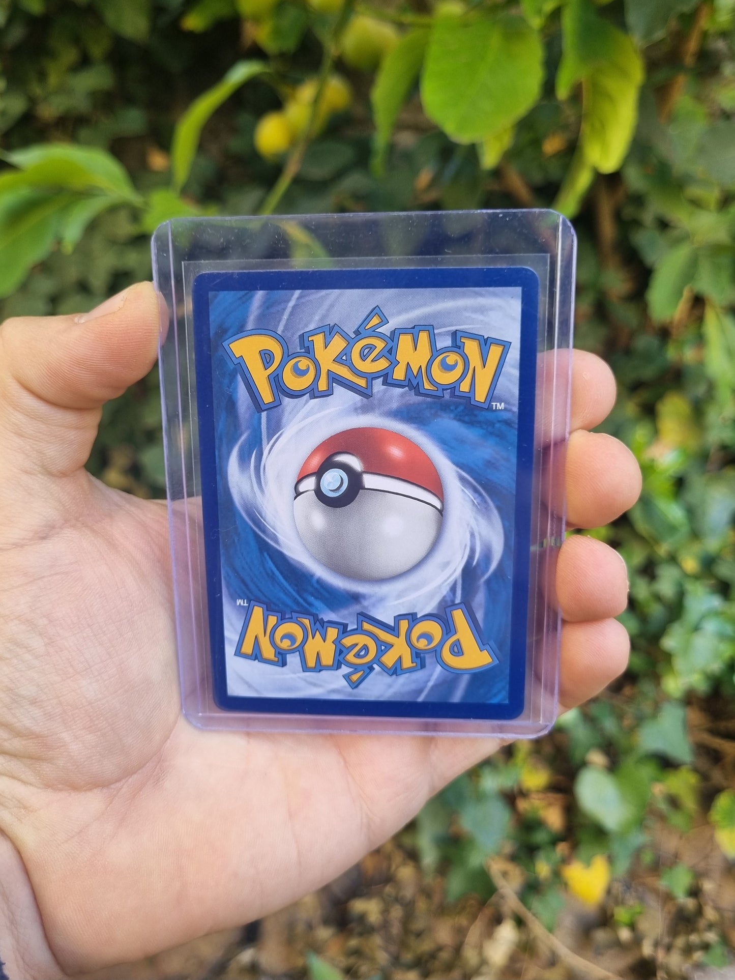Charizard V - 017/172 Brilliant Stars