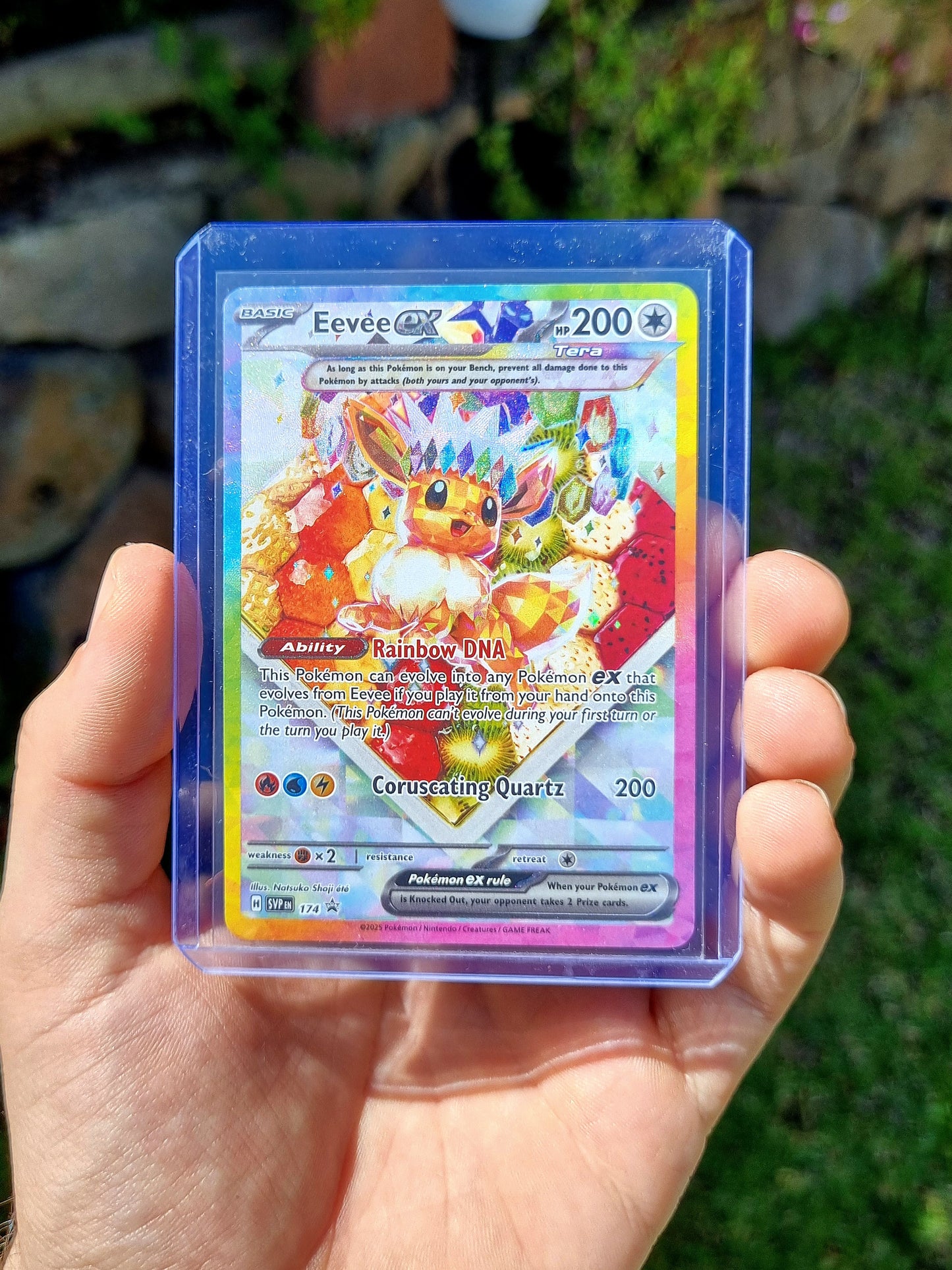 Eevee EX - 174 Scarlet & Violet Promo