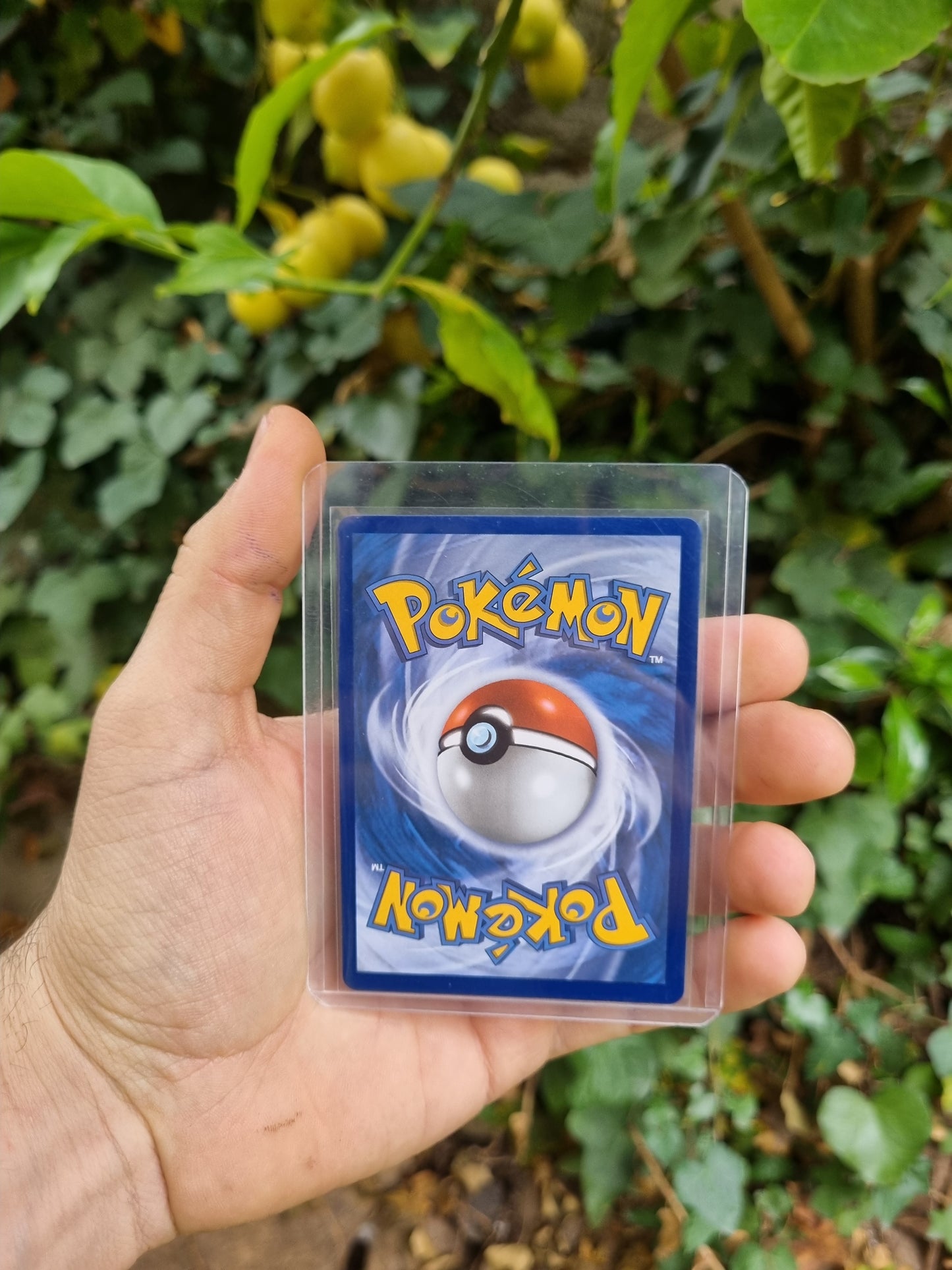 Meowth ex - 121/088 Perfect Order Special Illustration Rare