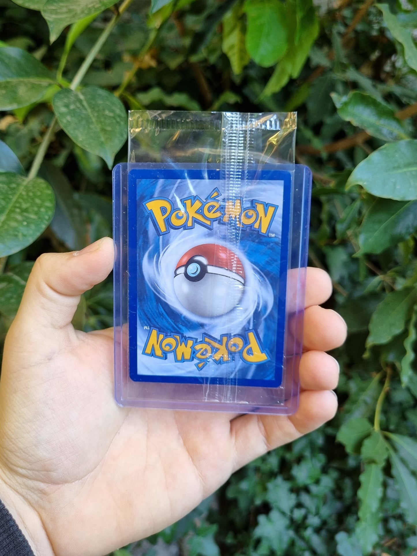 Mewtwo - 052 Scarlet & Violet Promo Sellado