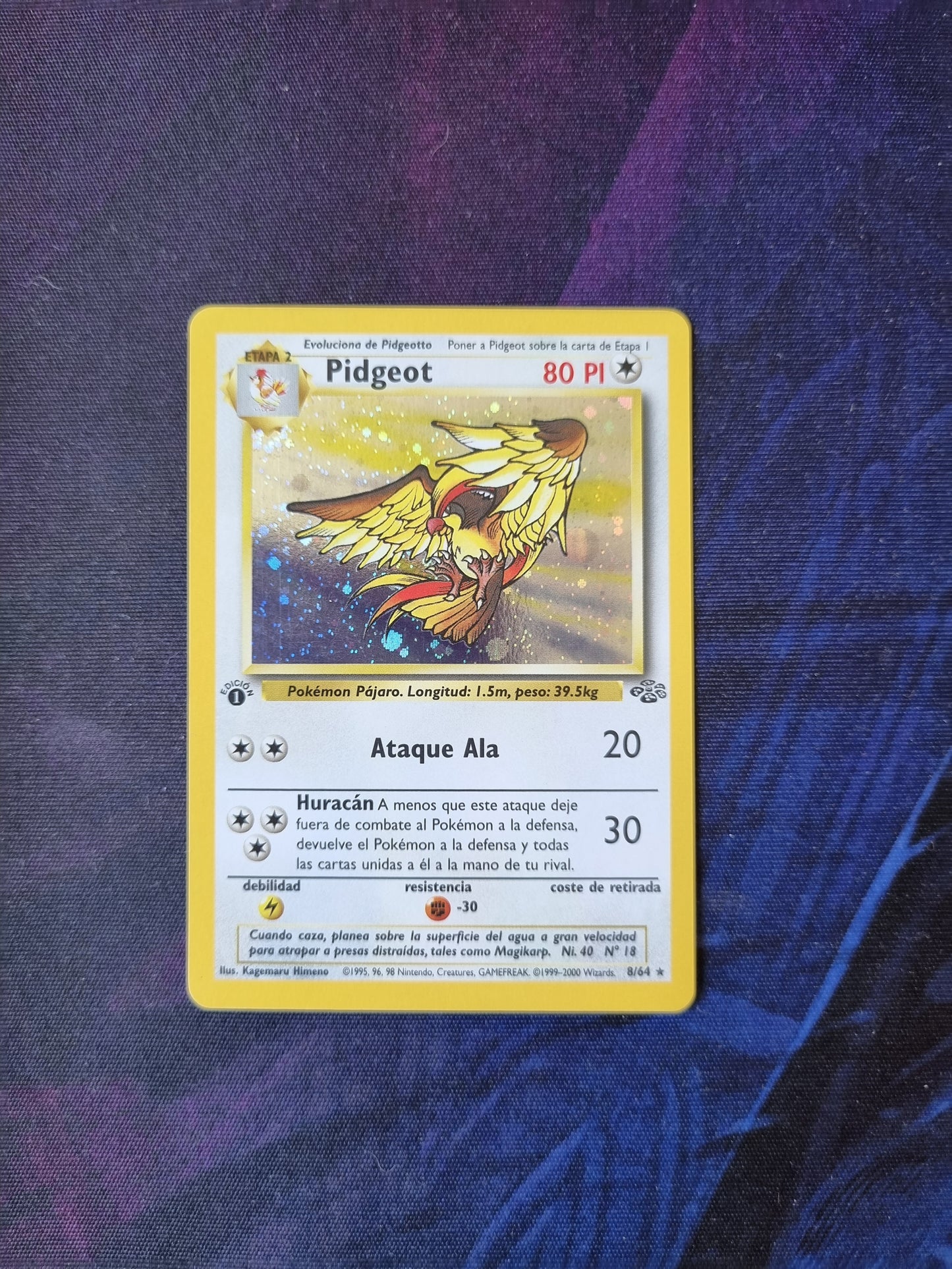 Pidgeot - 8/64 1era Edición Jungle Holo Rare - Español