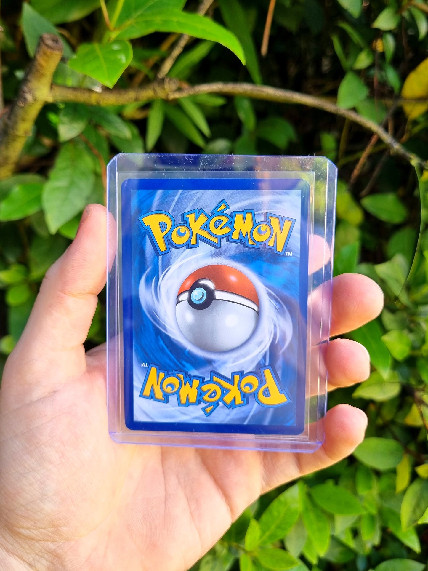 Raging Bolt ex - 208/162 Temporal Forces Special Illustration Rare