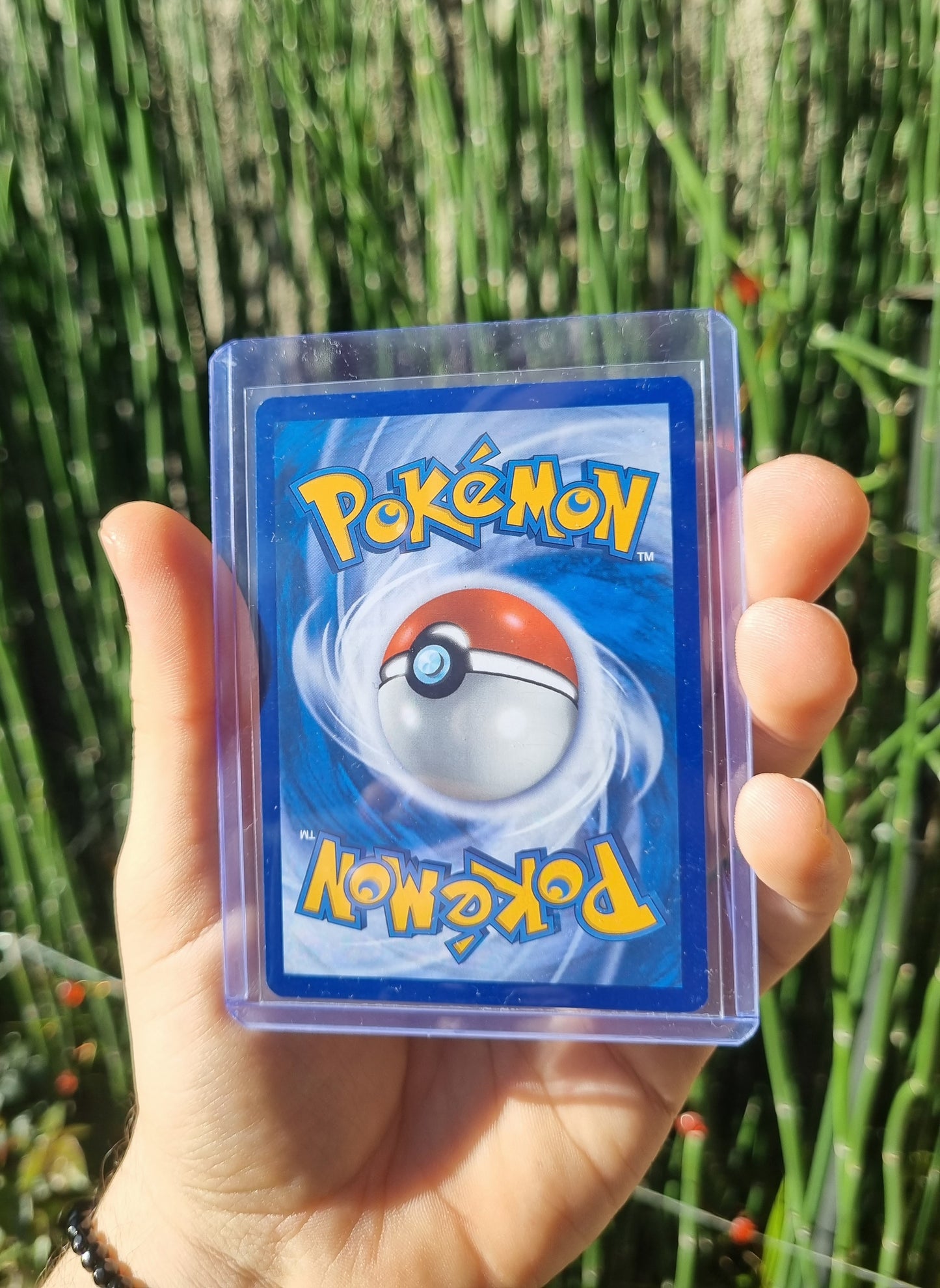 Riolu - 215/198 Scarlet & Violet Illustration Rare - Español