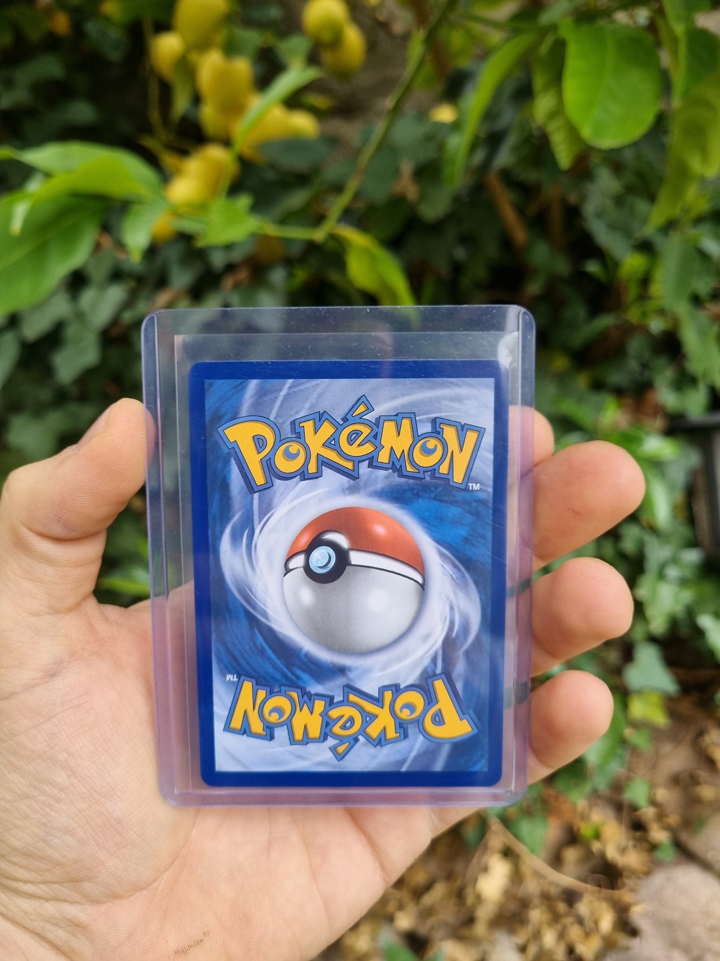 N's Zoroark ex - 286/217 Ascended Heroes Special Illustration Rare Español