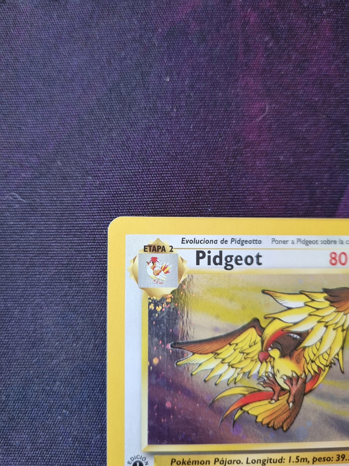 Pidgeot - 8/64 1era Edición Jungle Holo Rare - Español