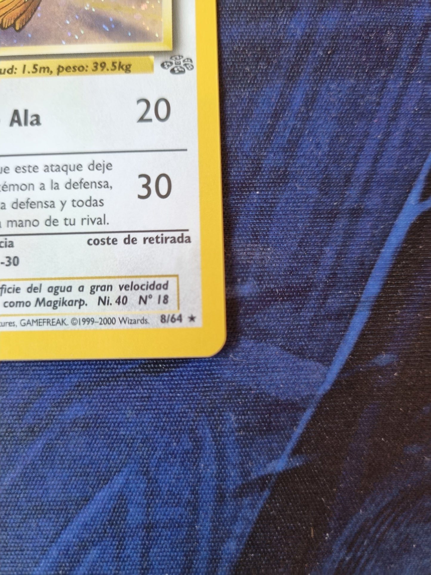Pidgeot - 8/64 1era Edición Jungle Holo Rare - Español