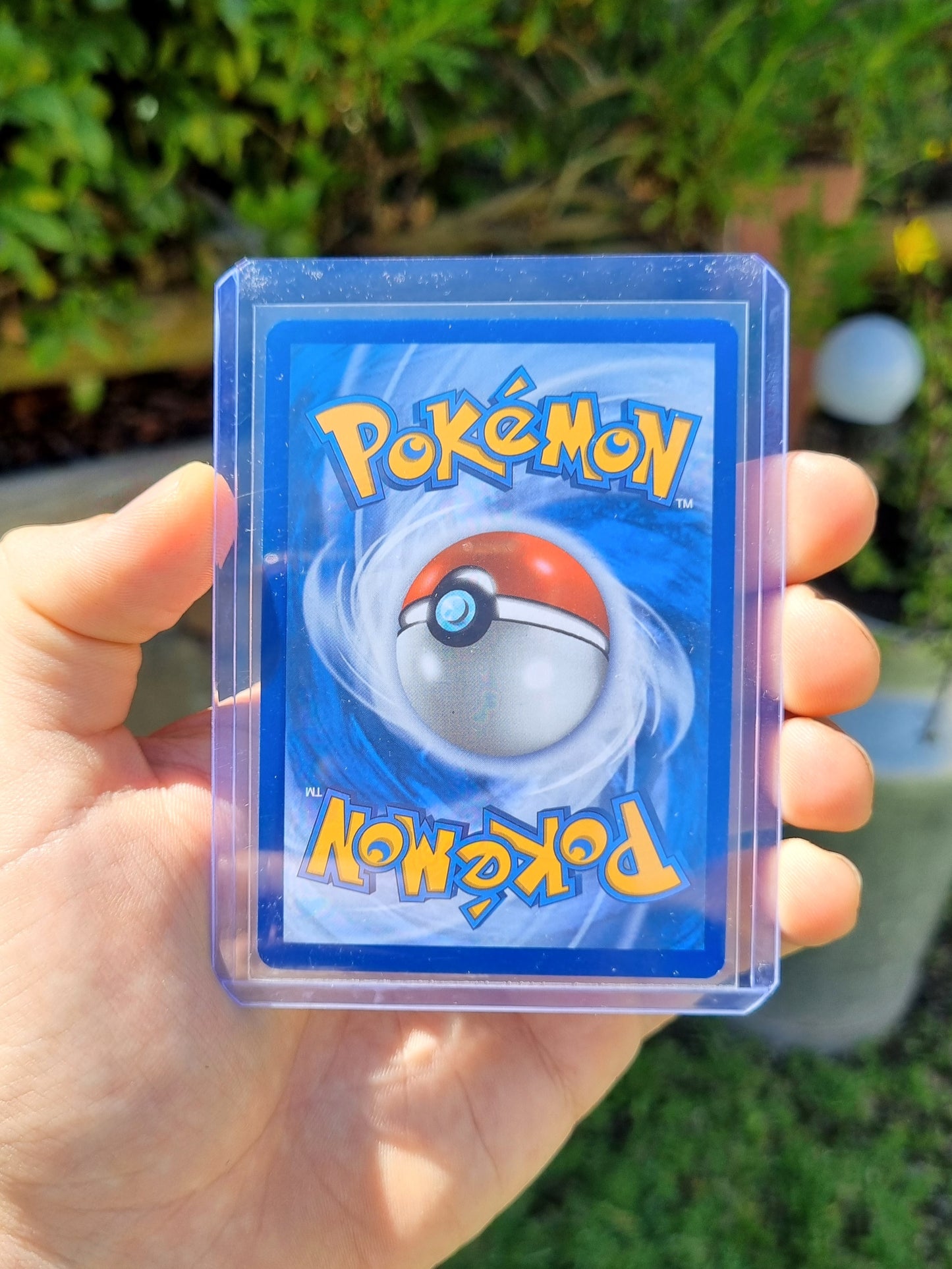 Eevee EX - 174 Scarlet & Violet Promo