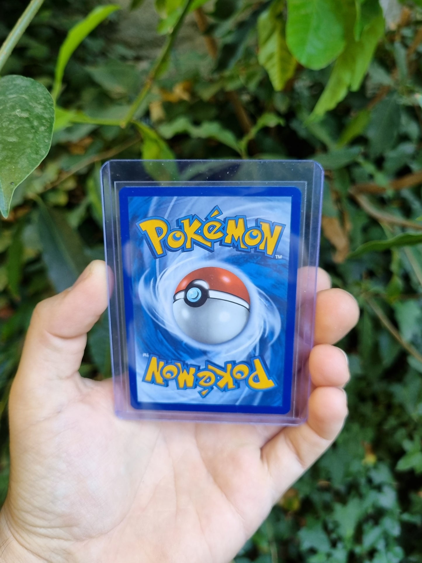 Squirtle - 148/142 Stellar Crown Illustration Rare