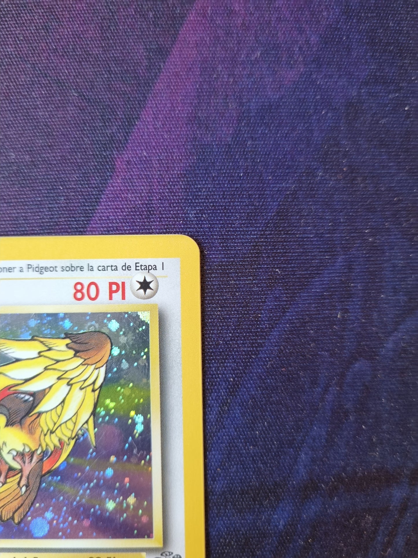 Pidgeot - 8/64 1era Edición Jungle Holo Rare - Español