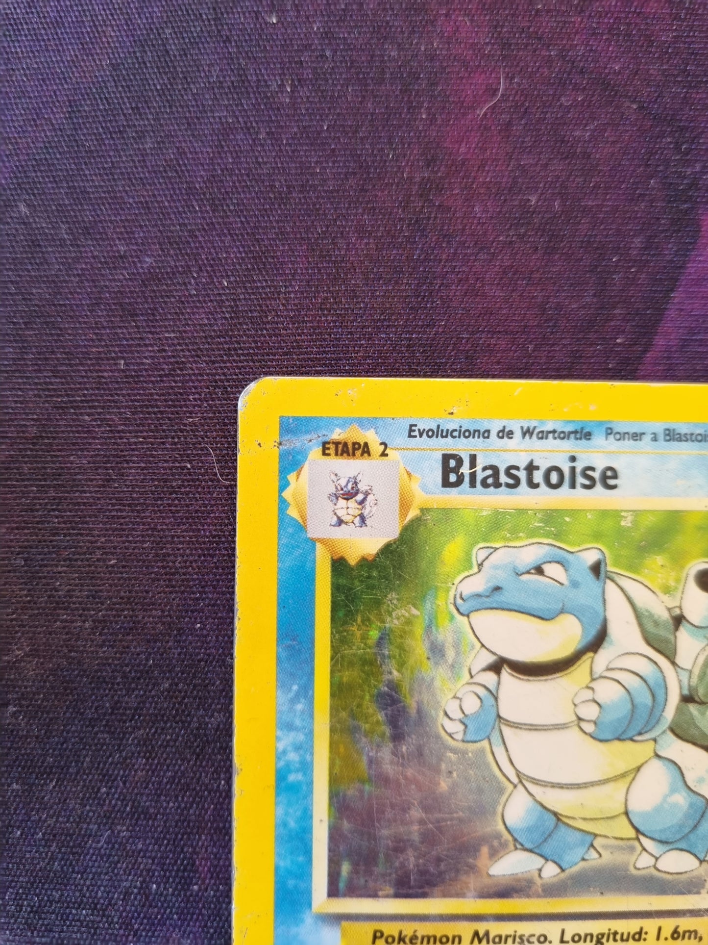 Blastoise - 2/102 Base Set Holo Rare - Español