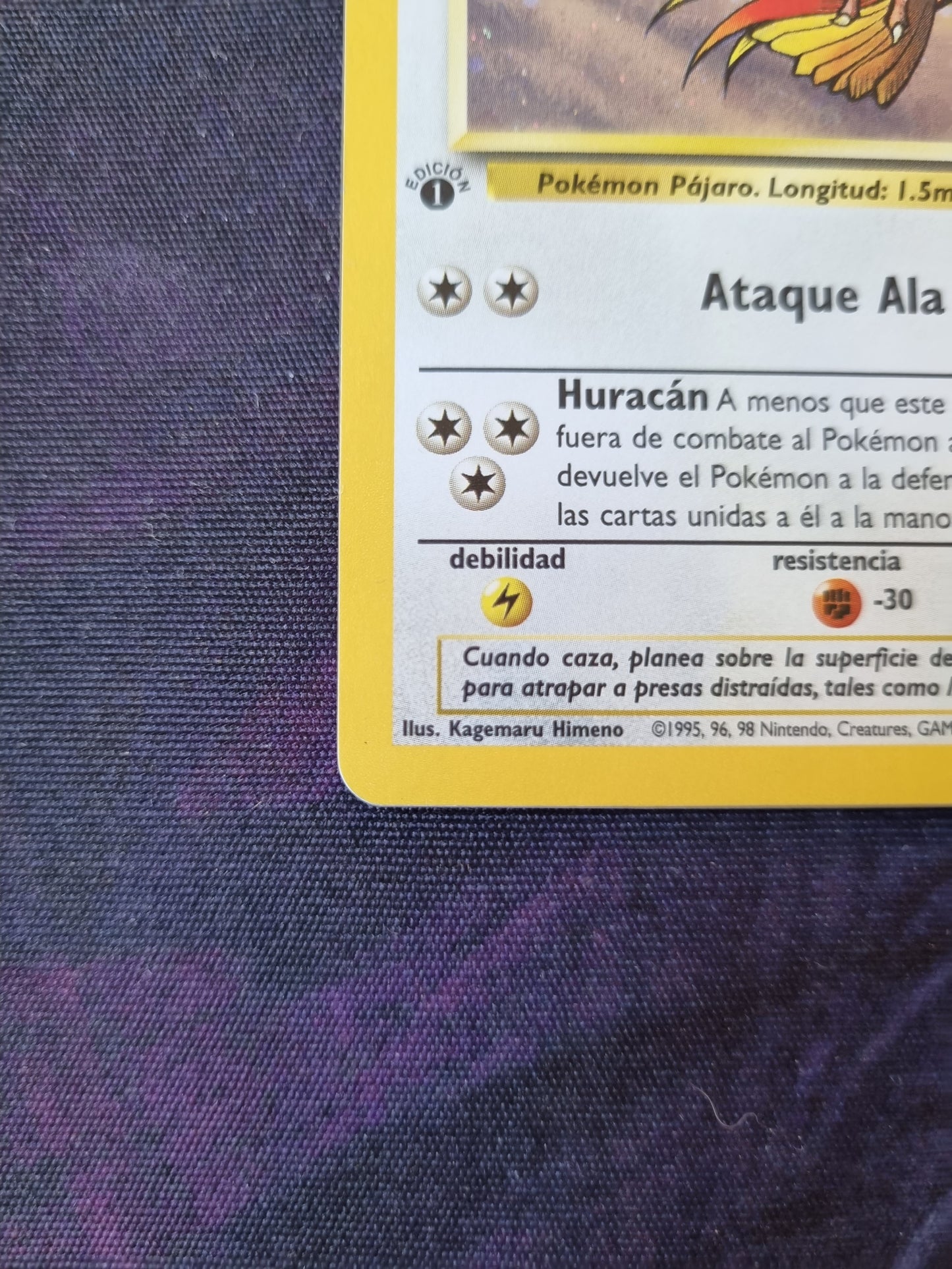 Pidgeot - 8/64 1era Edición Jungle Holo Rare - Español