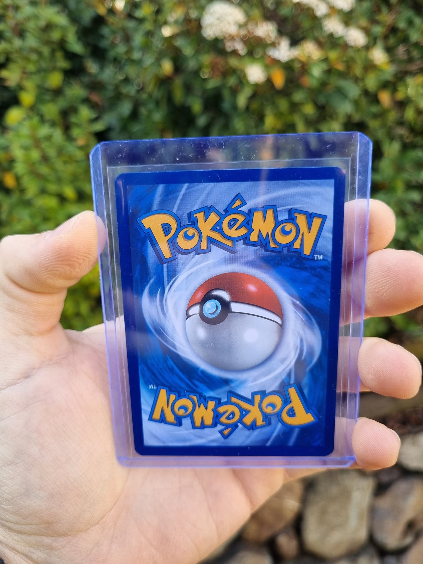 Team Rocket's Spidops - 187/182 Destined Rivals Illustration Rare