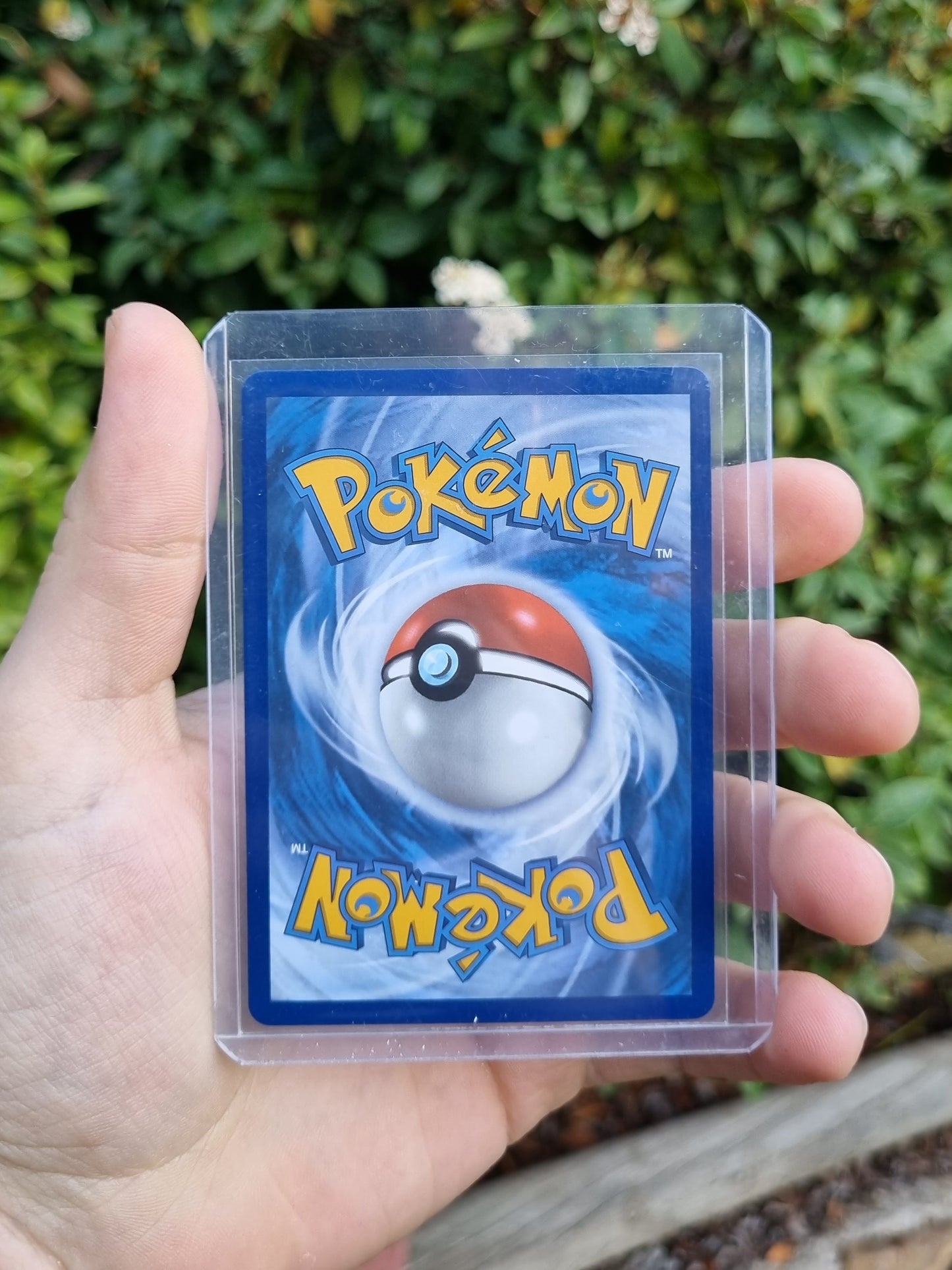 Mega Kangaskhan EX - 164/132 Mega Evolution Ultra Rare
