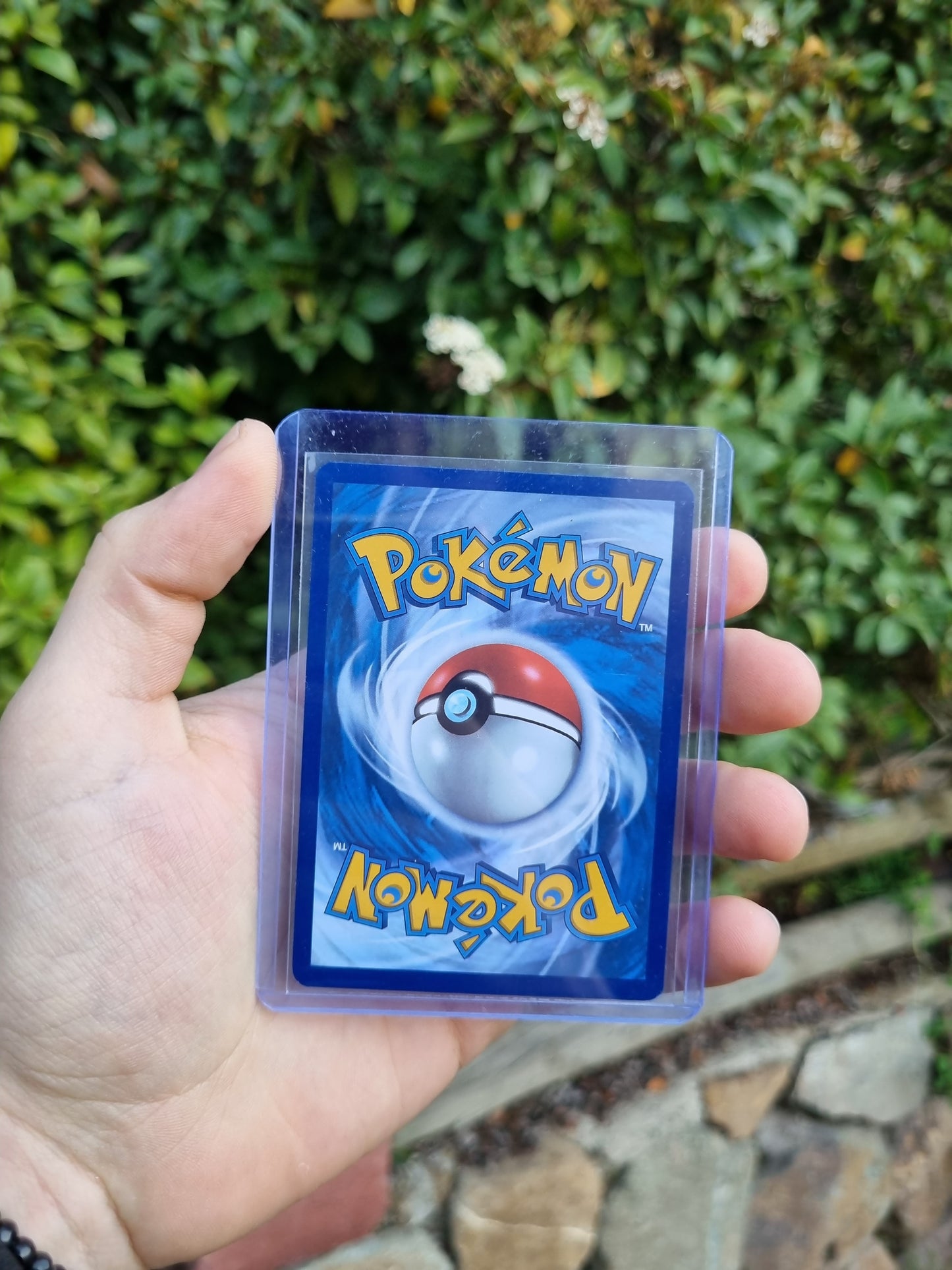 Ethan's Typhlosion - 190/182 Destined Rivals Illustration Rare
