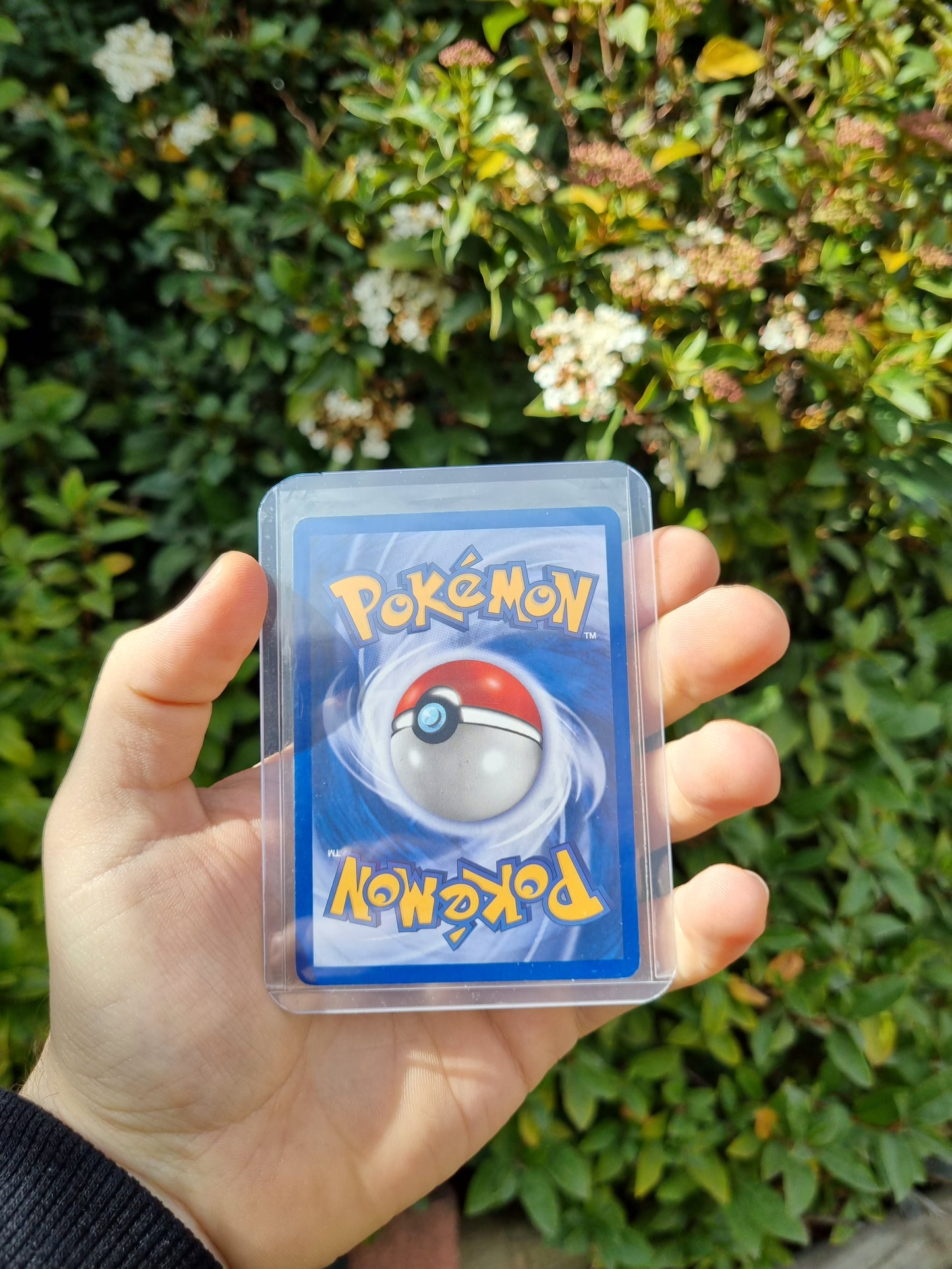 Dark Ampharos - Team Rocket Returns 2/109 Holo Rare