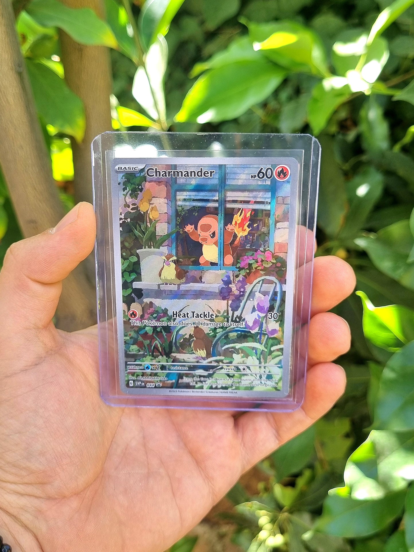 Charmander - 044 Scarlet & Violet Promo