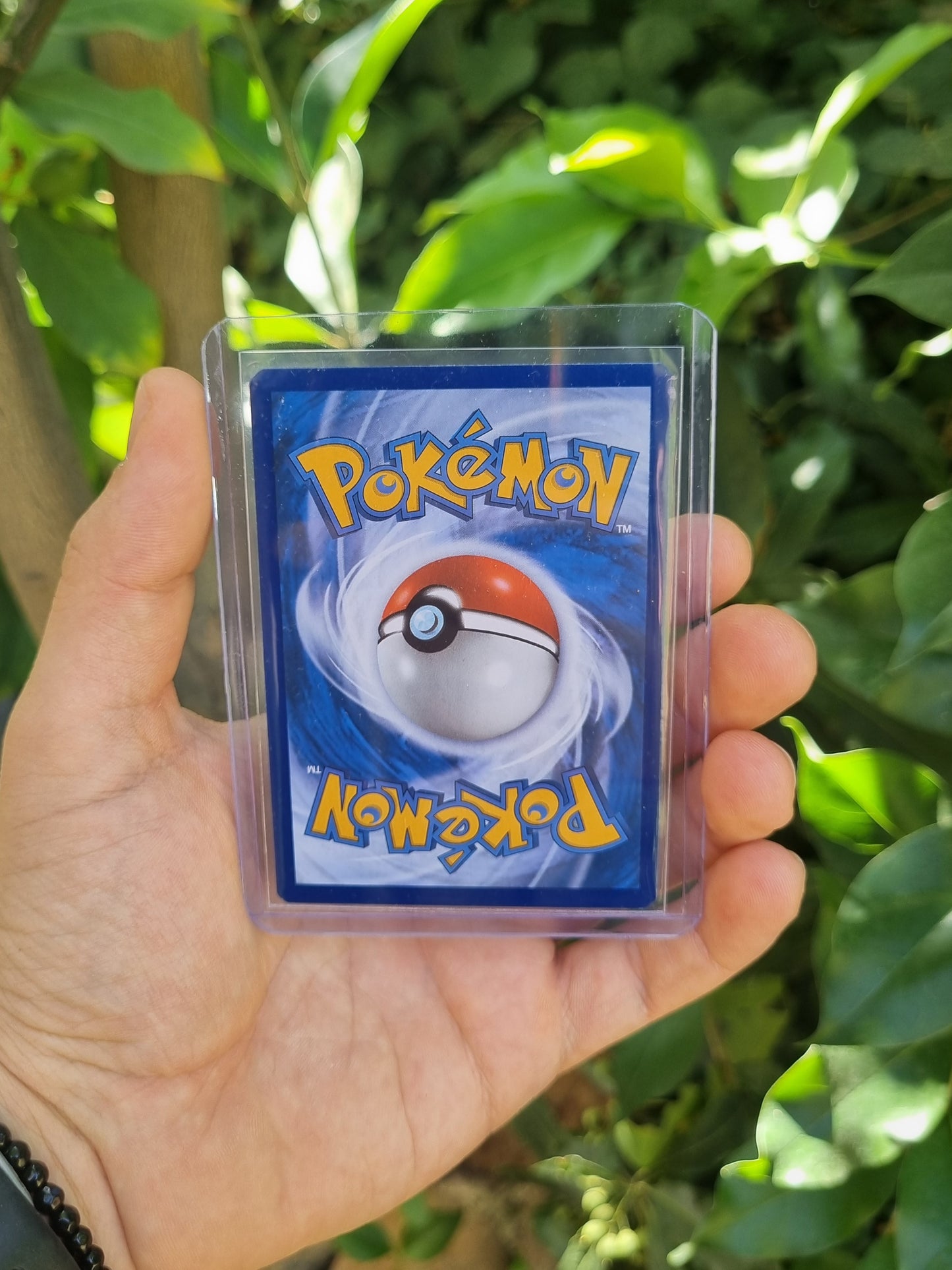 Charmander - 044 Scarlet & Violet Promo