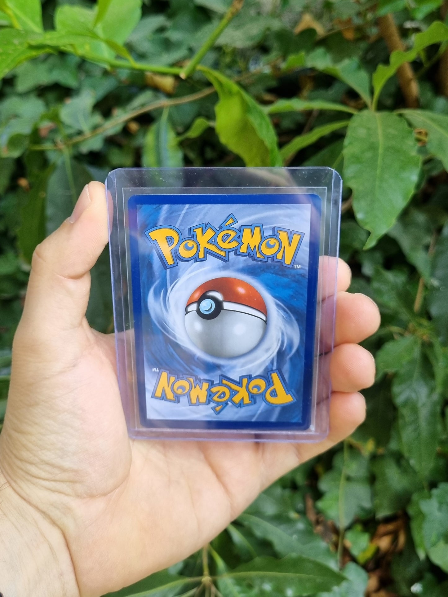 N's Zoroark ex - 185/159 Journey Together Special Illustration Rare