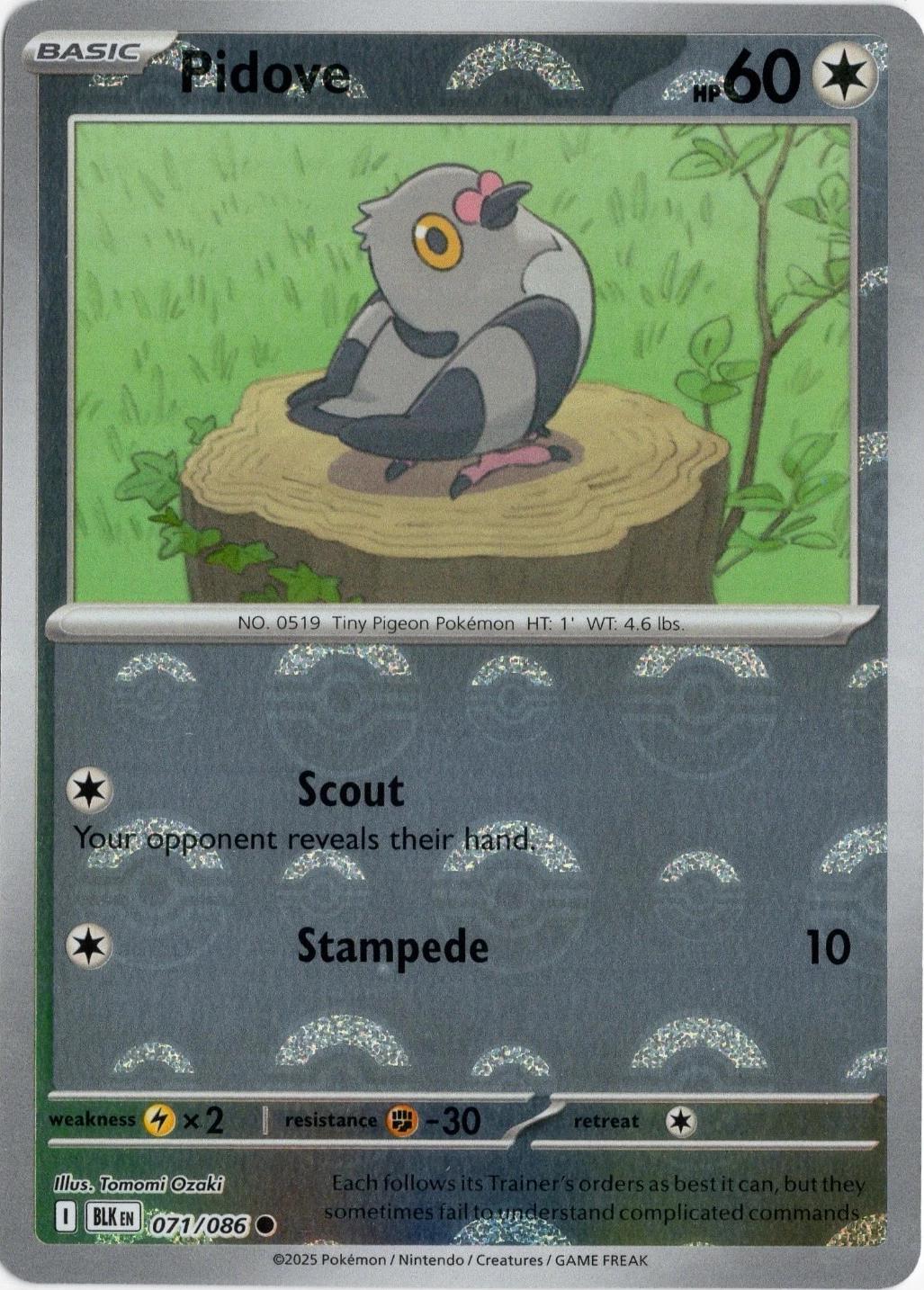 Pidove - Black Bolt 071/086 Poke Ball Holo