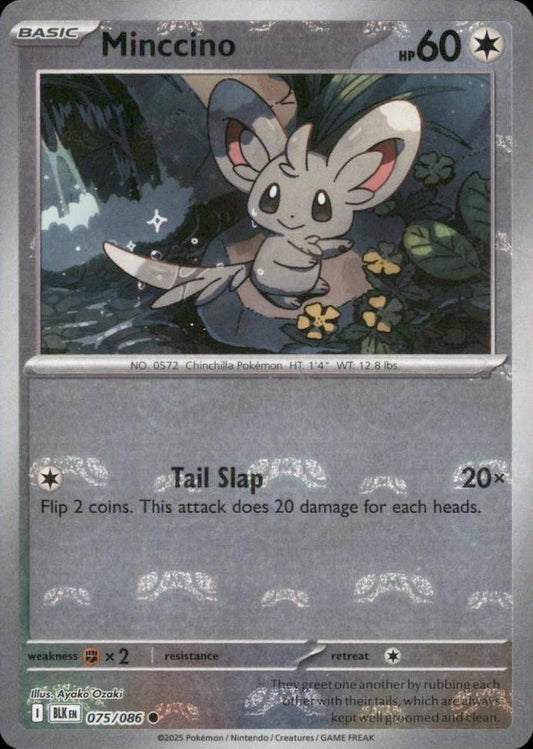 Minccino - 075/086 Black Bolt Master Ball Holo