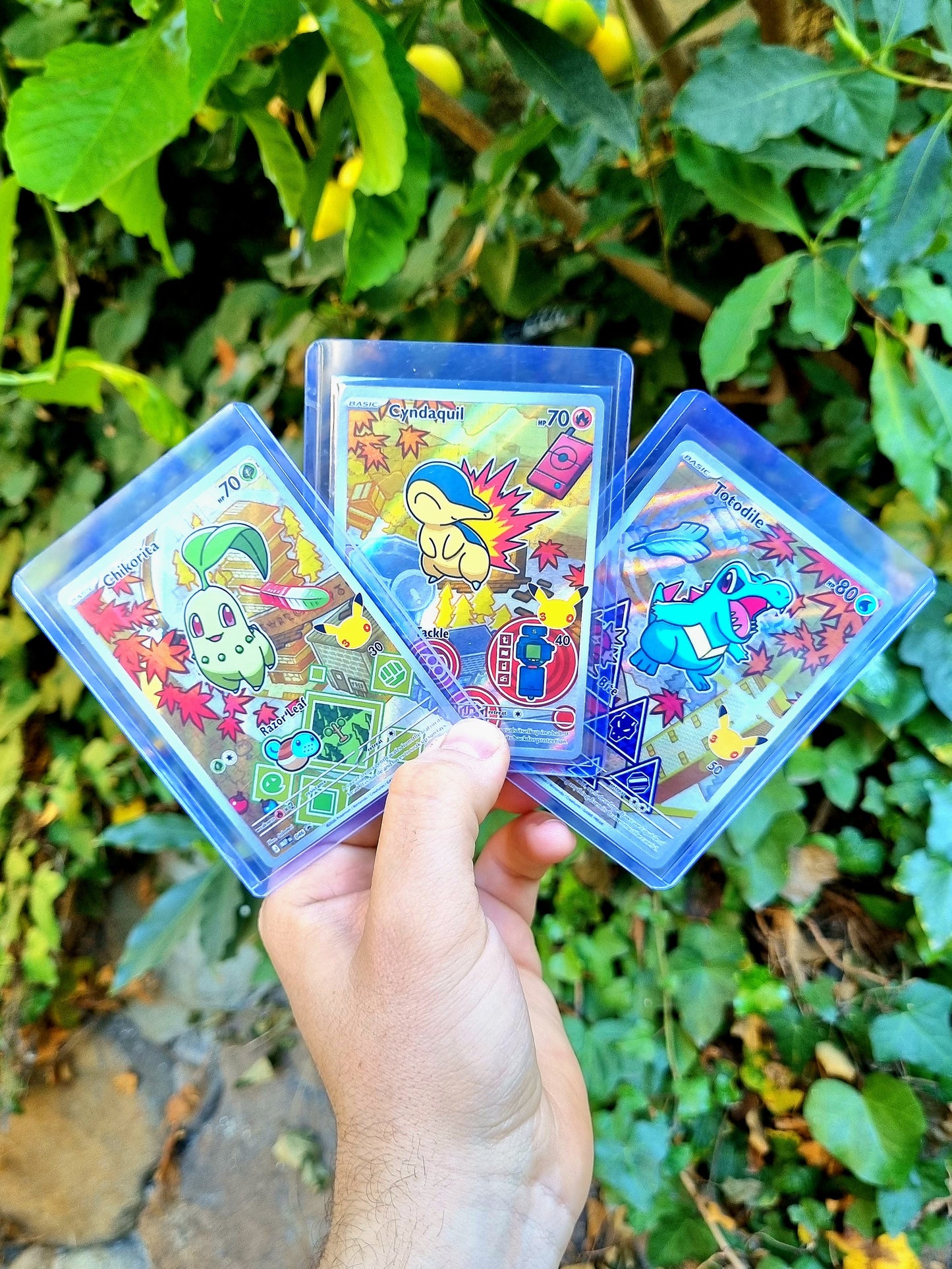 Trío Johto (Chikorita, Cyndaquil y Totodile) - First Partner Serie 2