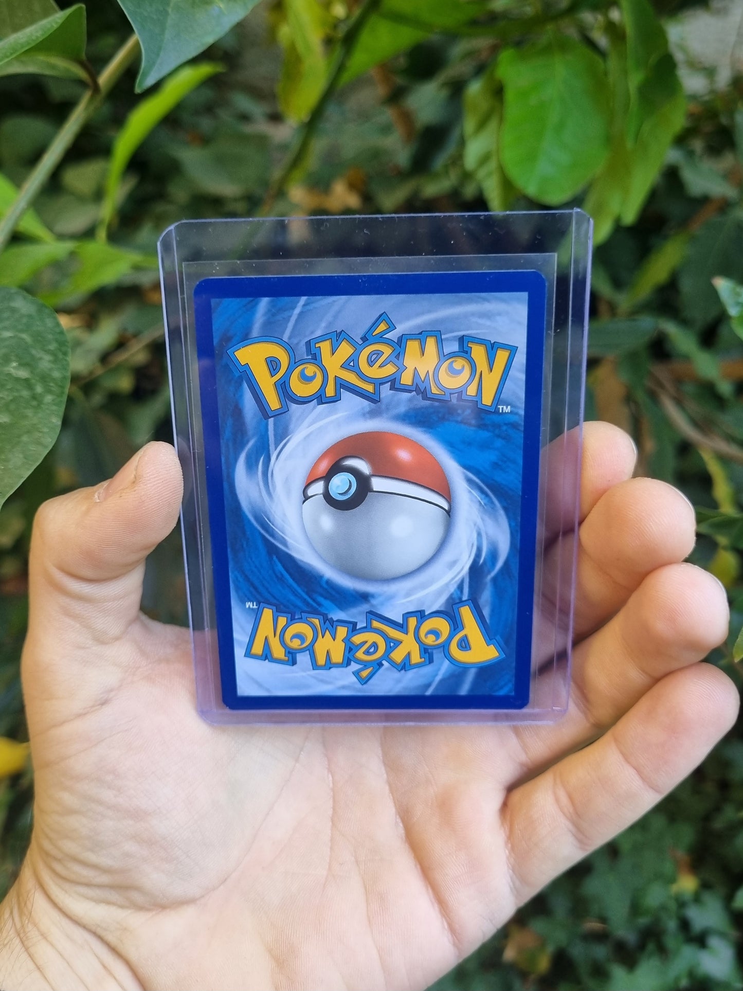 Charizard VSTAR - SWSH262 Sword & Shield Promo Inglés
