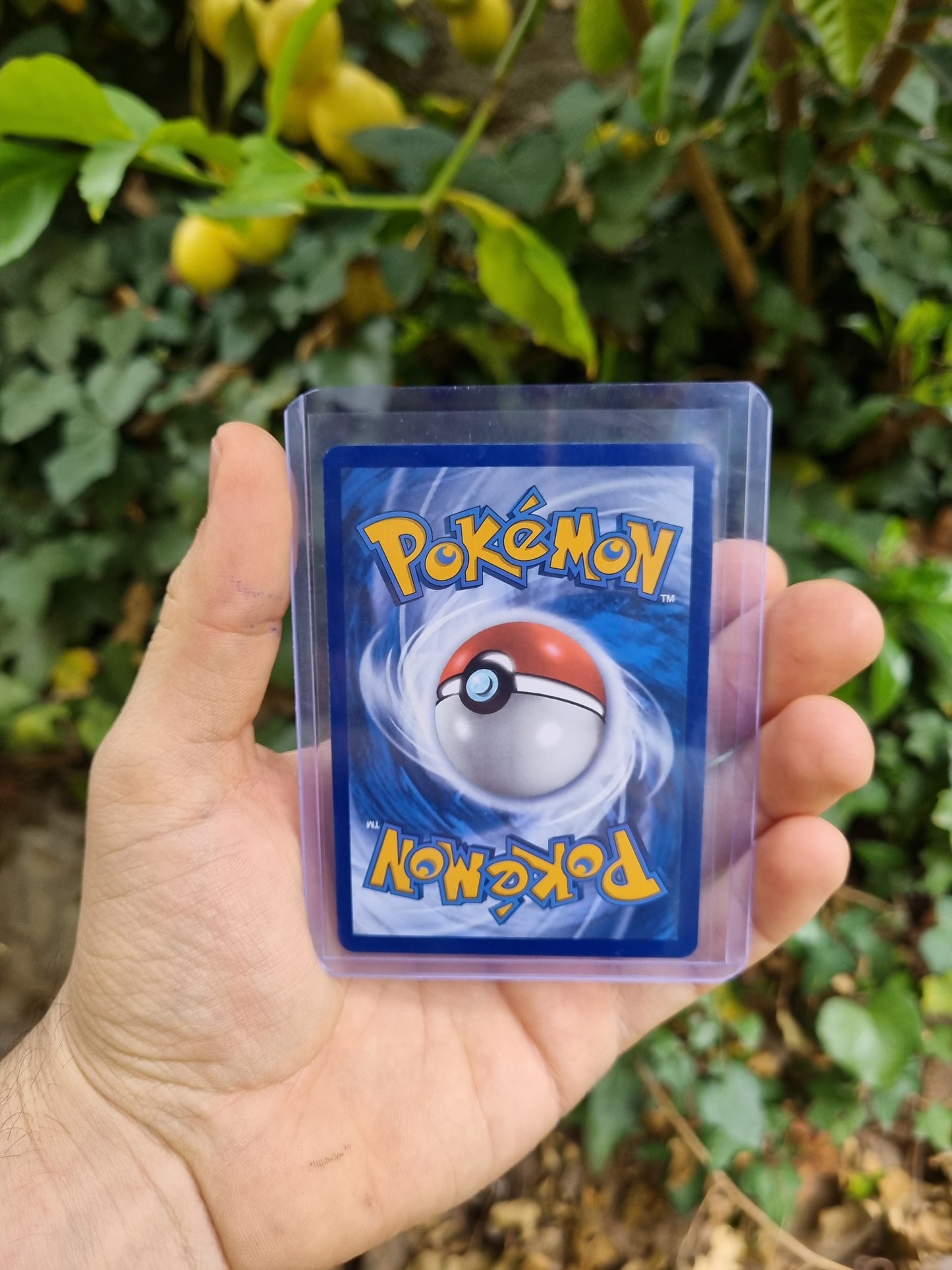 Misty's Psyduck - 193/182 Destined Rivals Illustration Rare Español