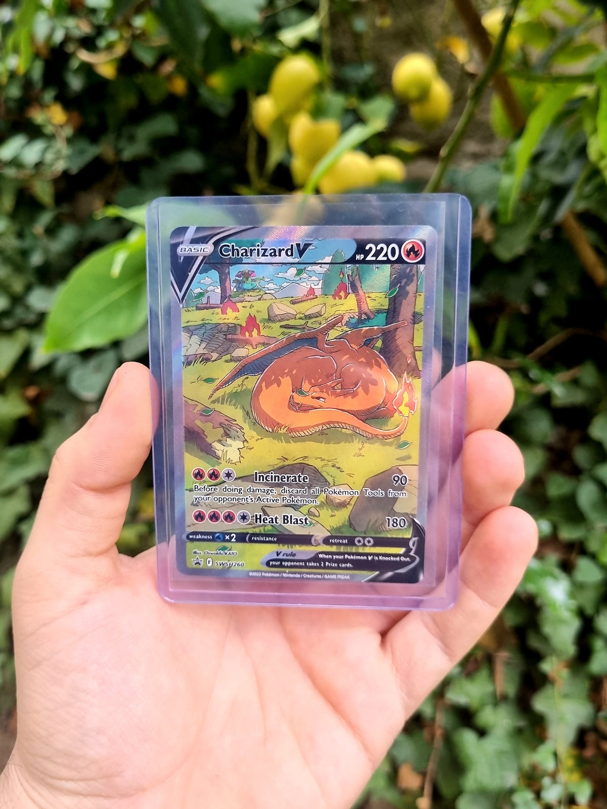 Charizard V - SWSH260 Sword & Shield Promo