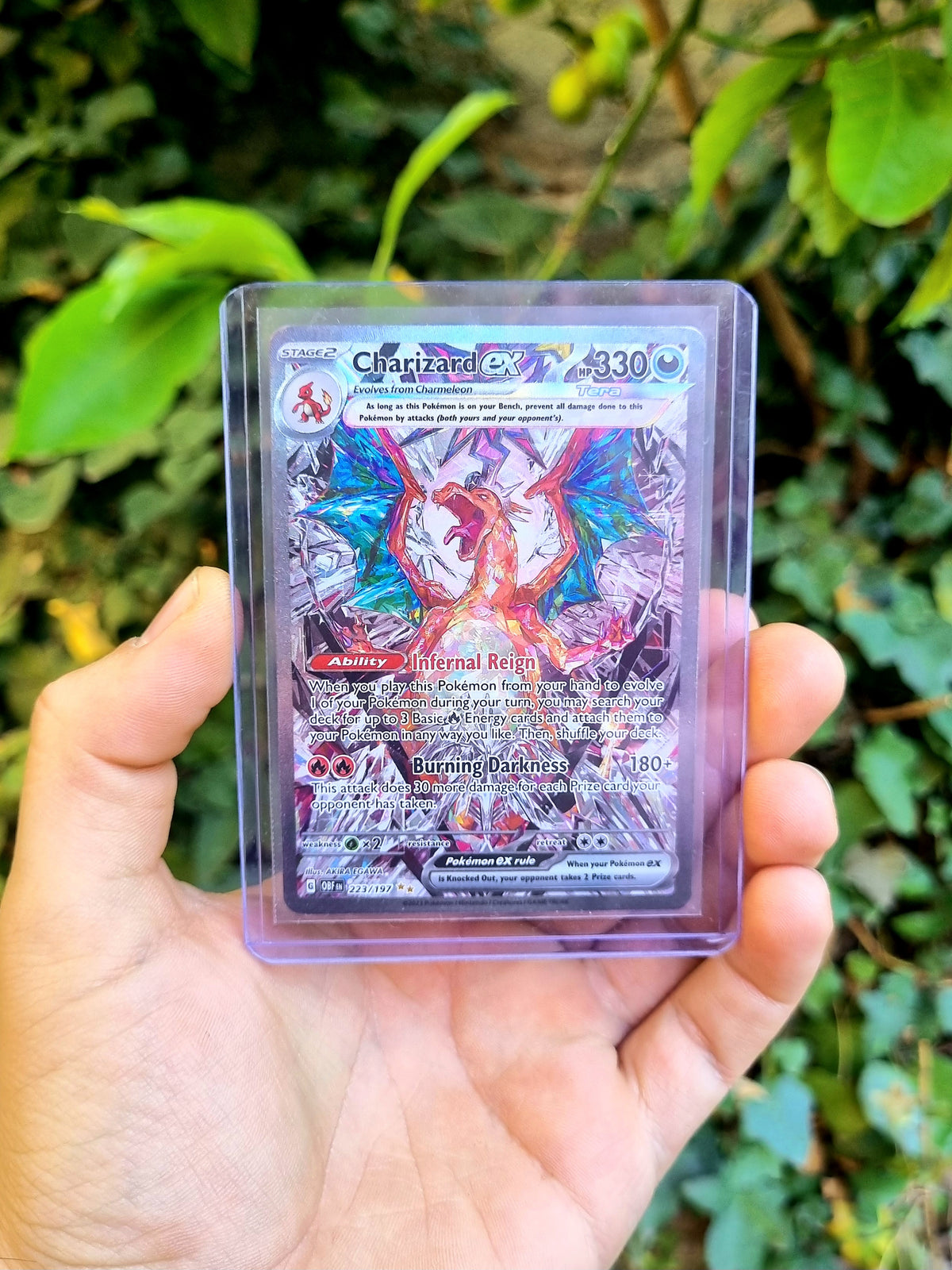 Charizard ex - 223/197 Obsidian Flames Special Illustration Rare